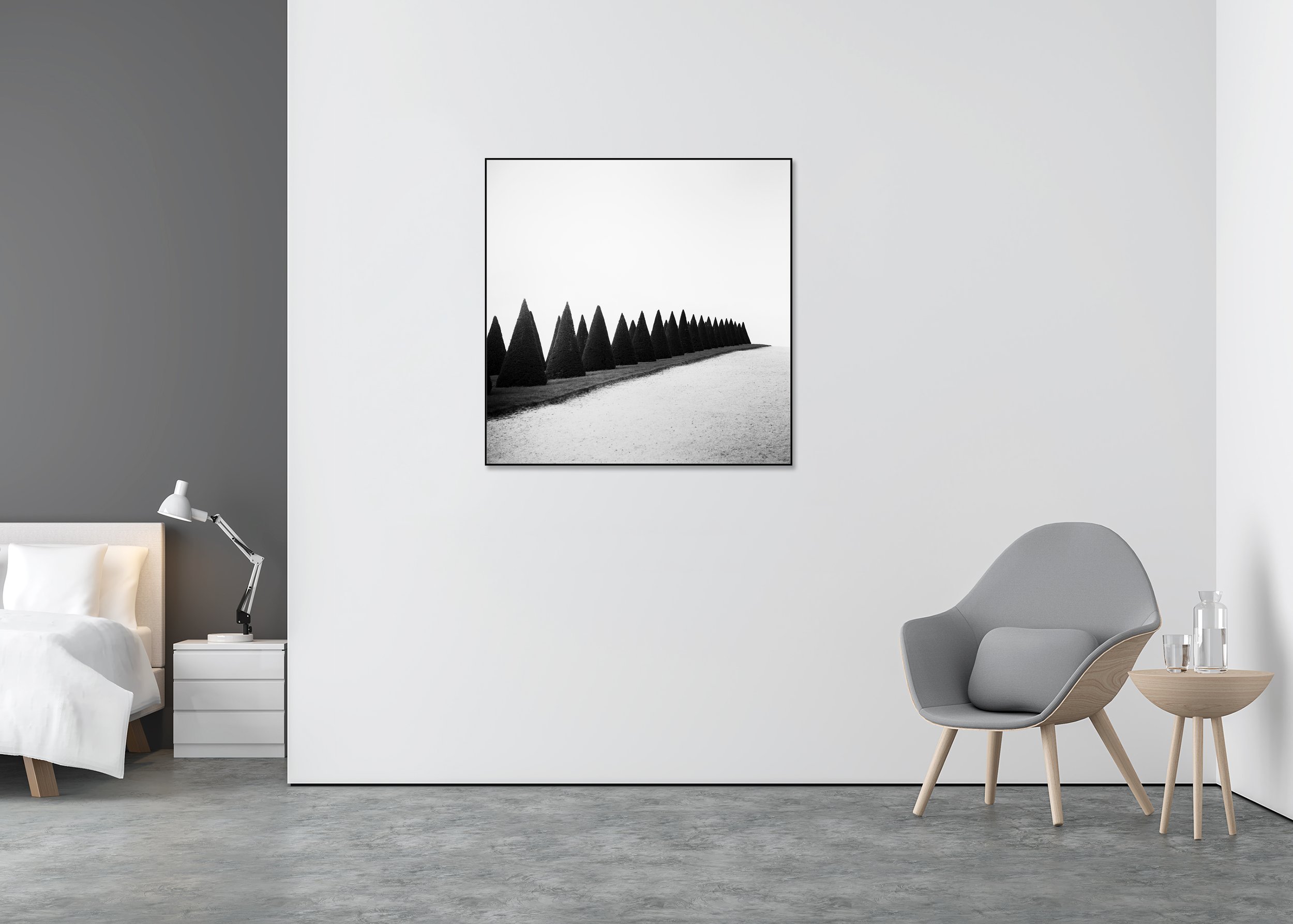 Hedges, Study 1 – black-and-white photo print mounted on Dibond in an aluminium ArtBox displayed in a contemporary interior.