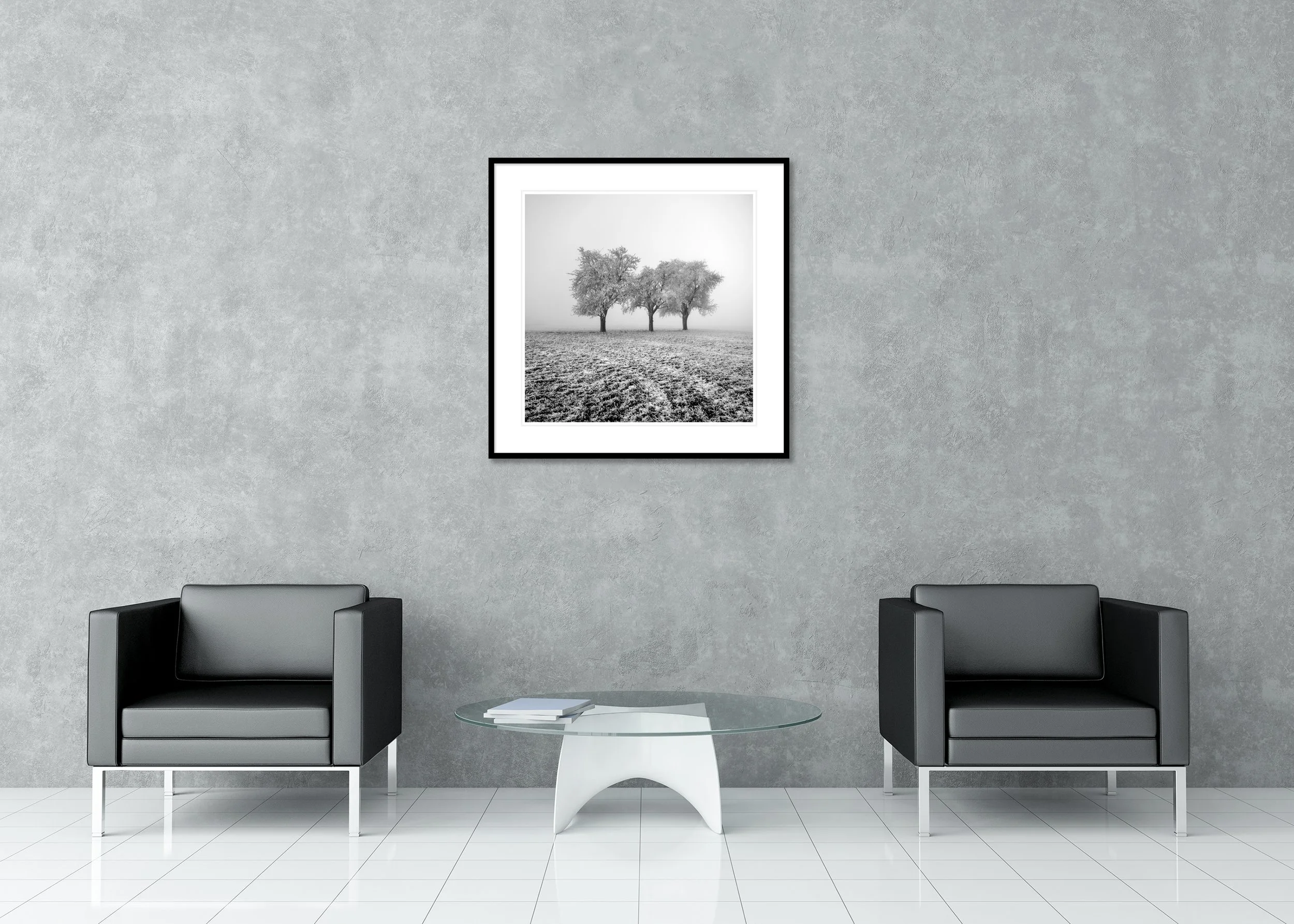 Frozen Apple Trees Study 1 – Austria, archival pigment print in an aluminium frame with white mount and anti-reflective glass.
