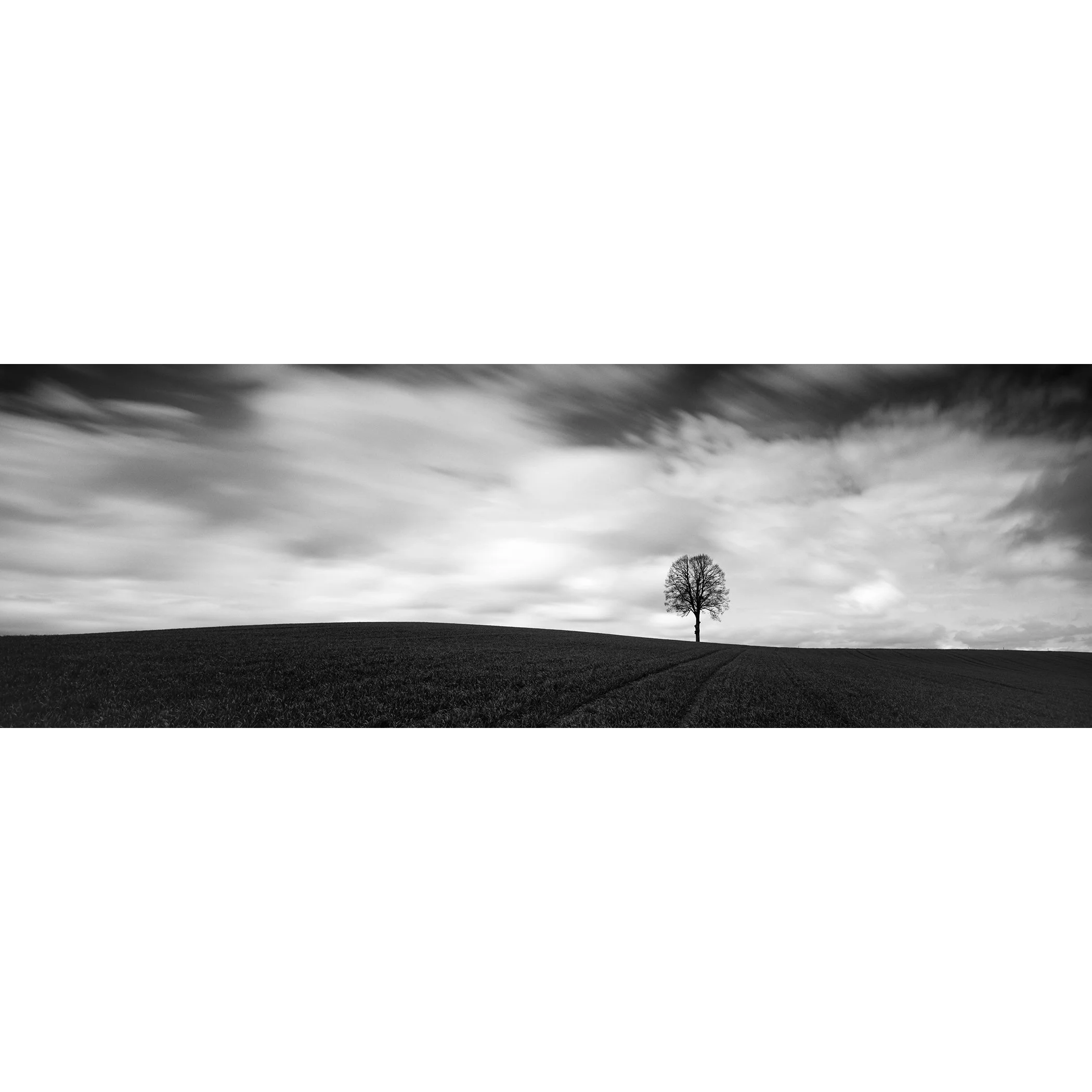 Gerald Berghammer - Black and white minimalist landscape panorama Photography. Lone tree on a gently rolling hill with a cloudy sky.
