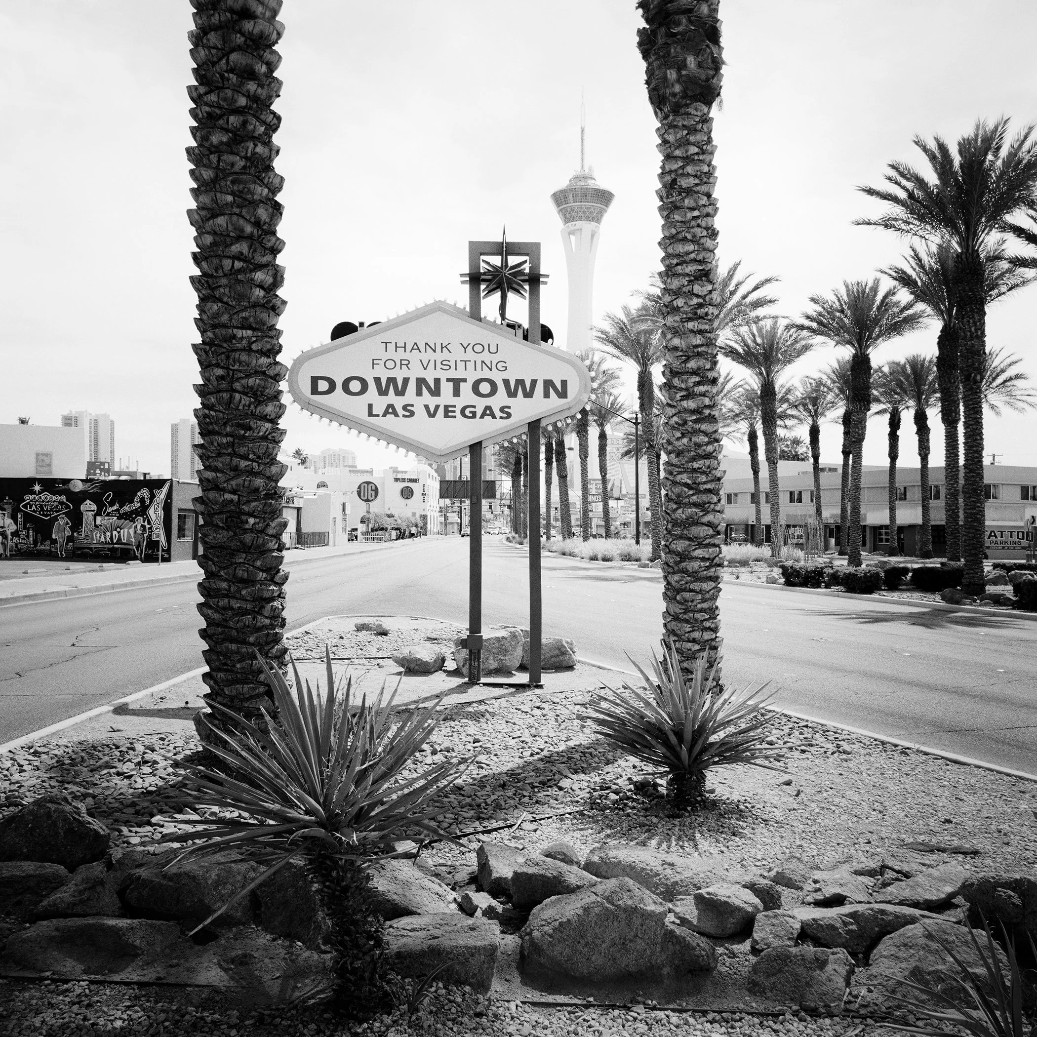 Downtown Las Vegas sign, palm trees and observation tower in Nevada, photographed in black and white by Gerald Berghammer.