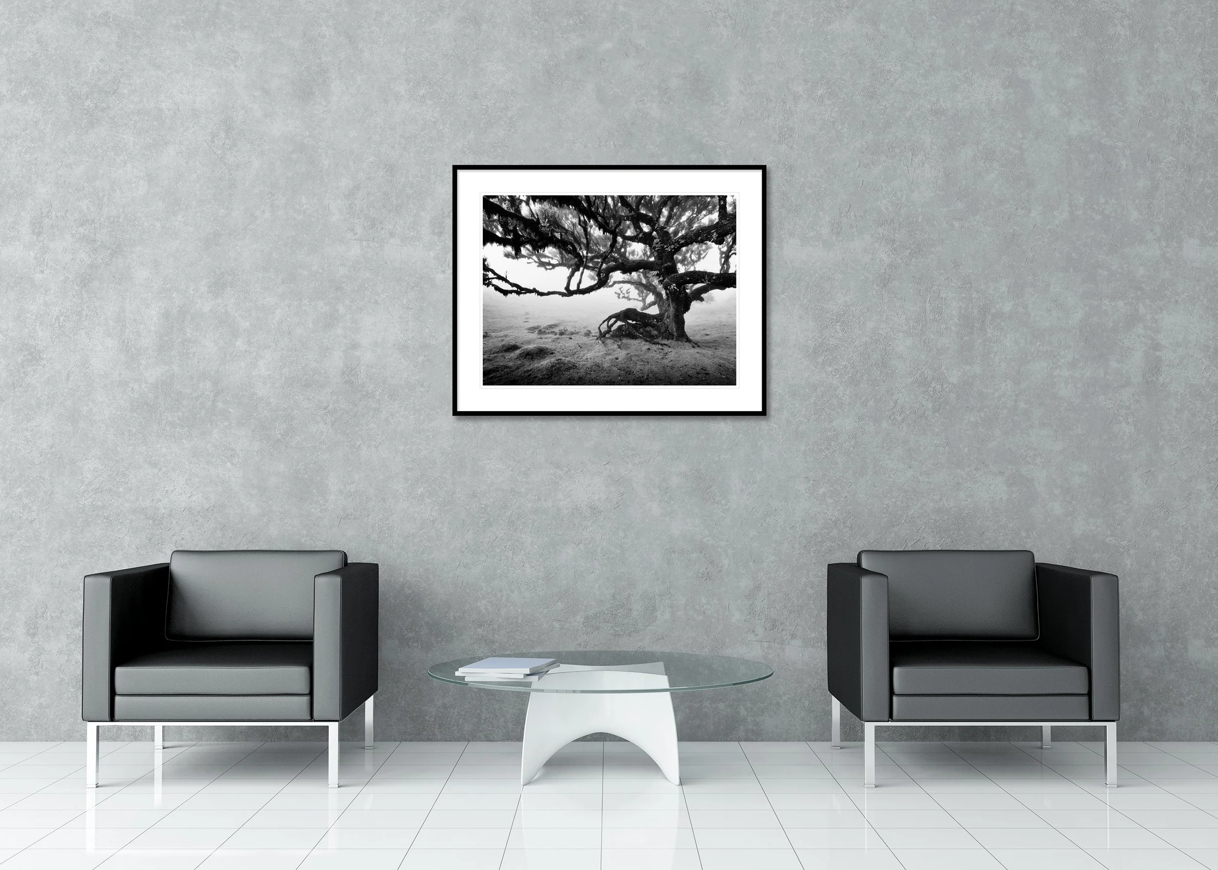 Black-and-white photo of a gnarled tree in misty ancient Laurisilva forest, Fanal, Madeira, archival pigment print in a classic frame with a mount.