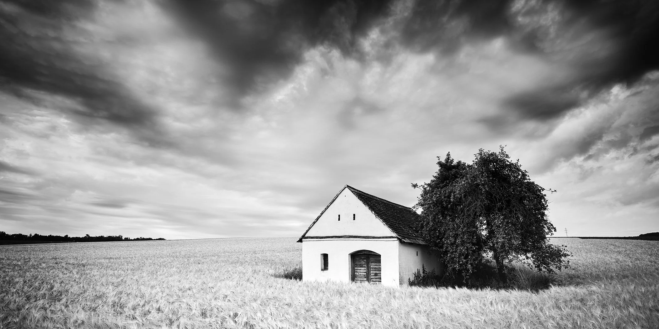 Black-and-white panorama of a traditional wine press house and tree in a grain field beneath dramatic clouds in Austria. Photo by Gerald Berghammer.
