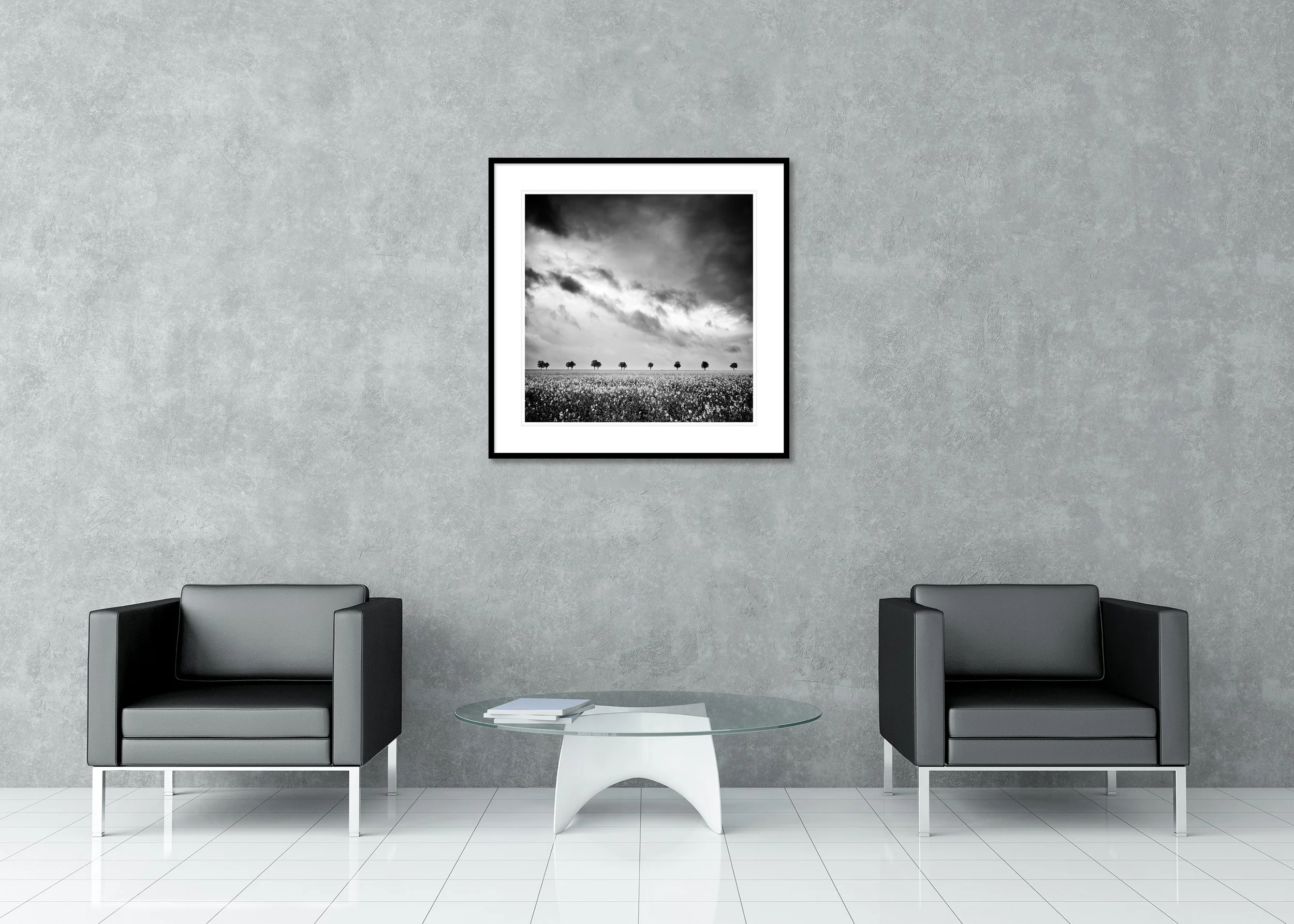 Row of Trees in Rapeseed Field Study 1 displayed in a modern interior as an archival pigment print in a black aluminium frame with white mount by Gerald Berghammer.