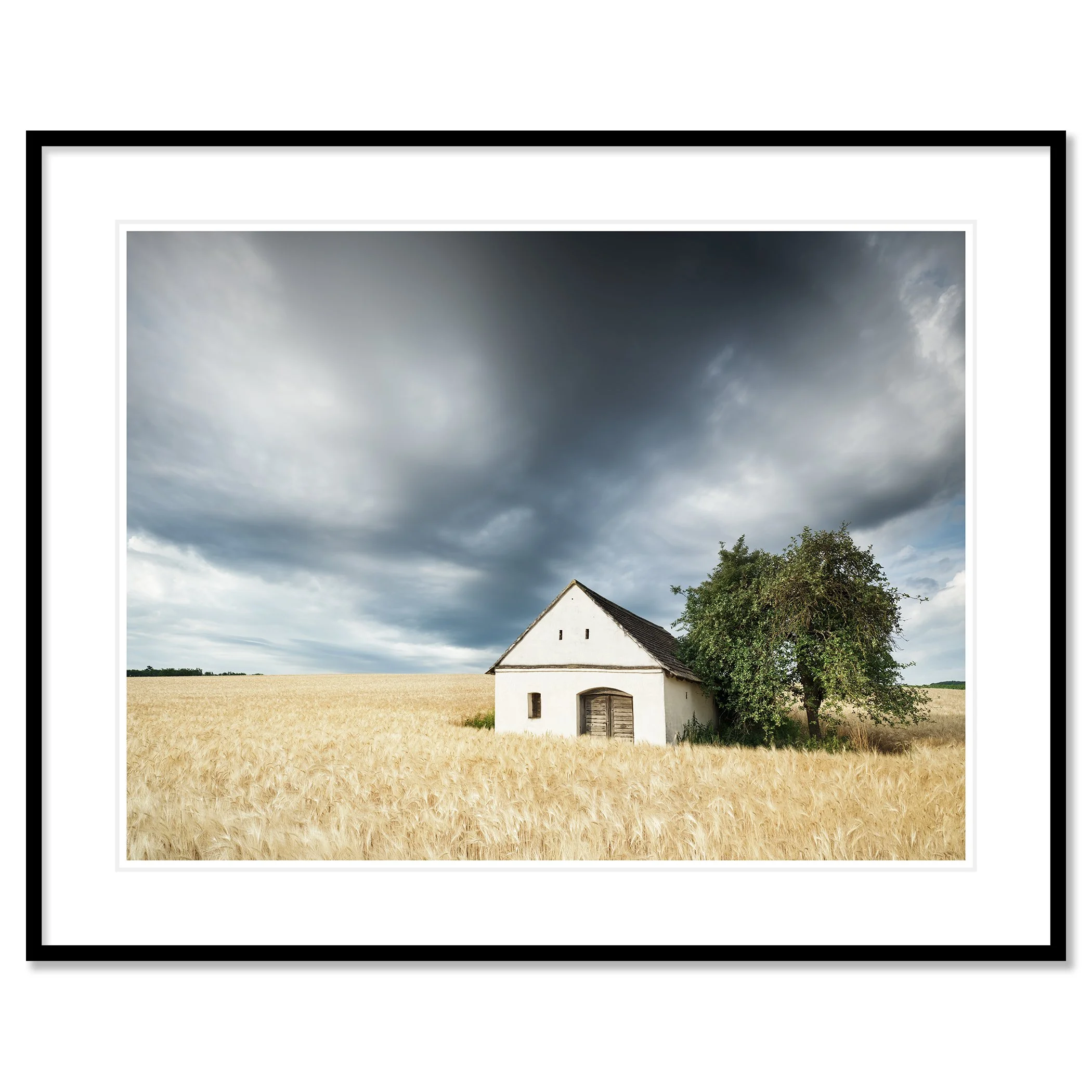 Small white wine press house in a golden wheat field under dramatic storm clouds – classic framed black