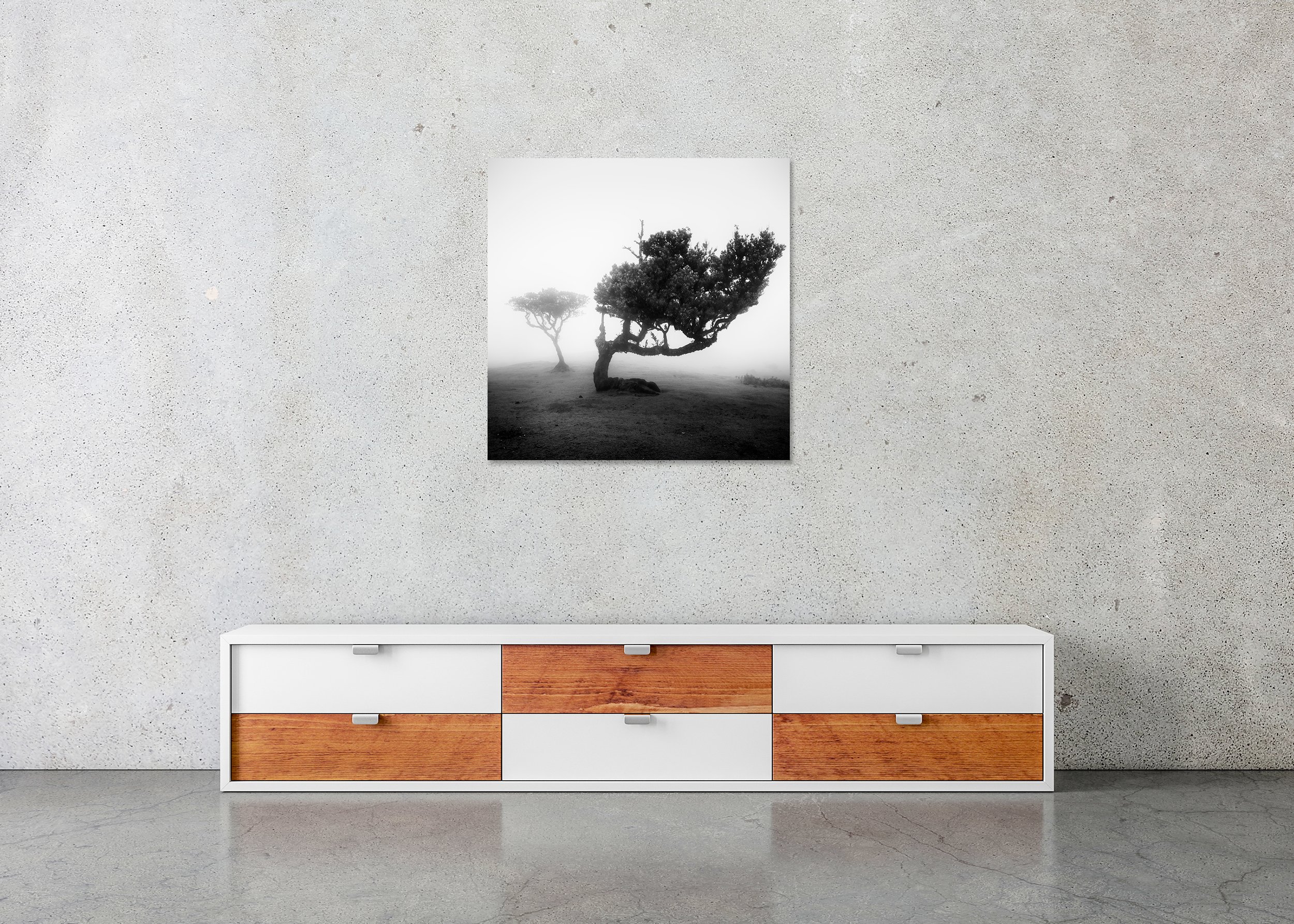 Black and white photo of a wind-bent tree standing in dense fog on a barren landscape, presented as a frameless ChromaLuxe metal print.
