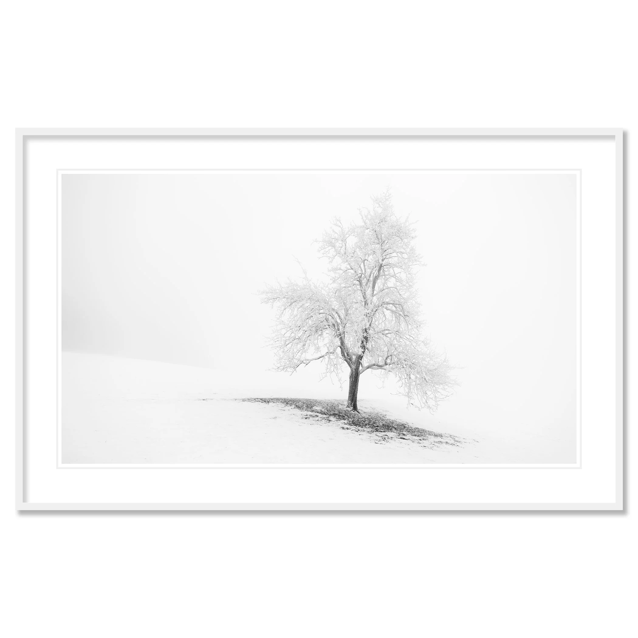 Frosted Winter Tree Panorama – Austria, black-and-white fine art print in a white aluminium frame with a white mount