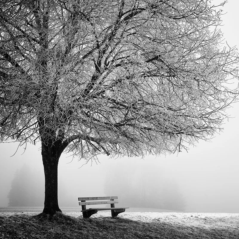Cold Foggy Winter Morning Study 1 – Austria | Gerald Berghammer
