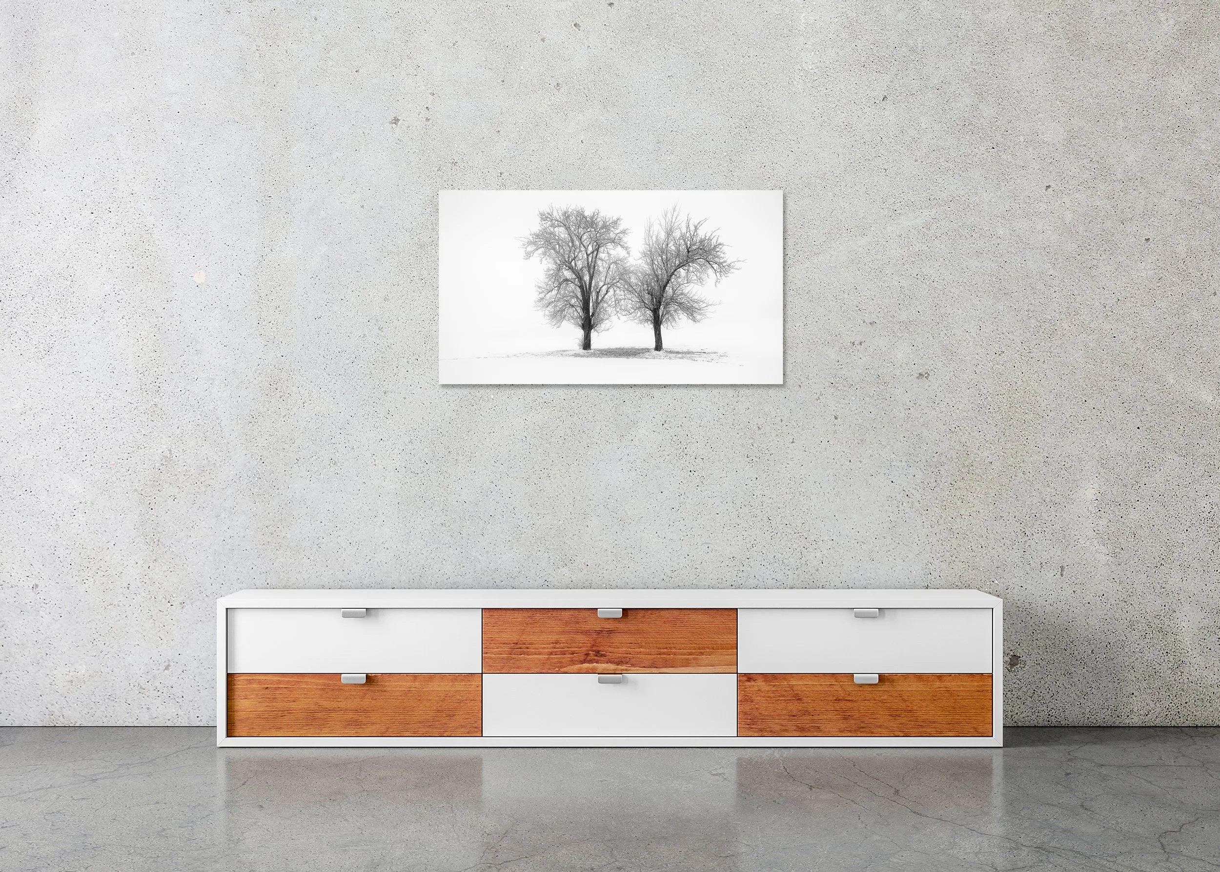 Still Winter Morning Study 1 – Austria, black-and-white photo print mounted to Dibond, frameless