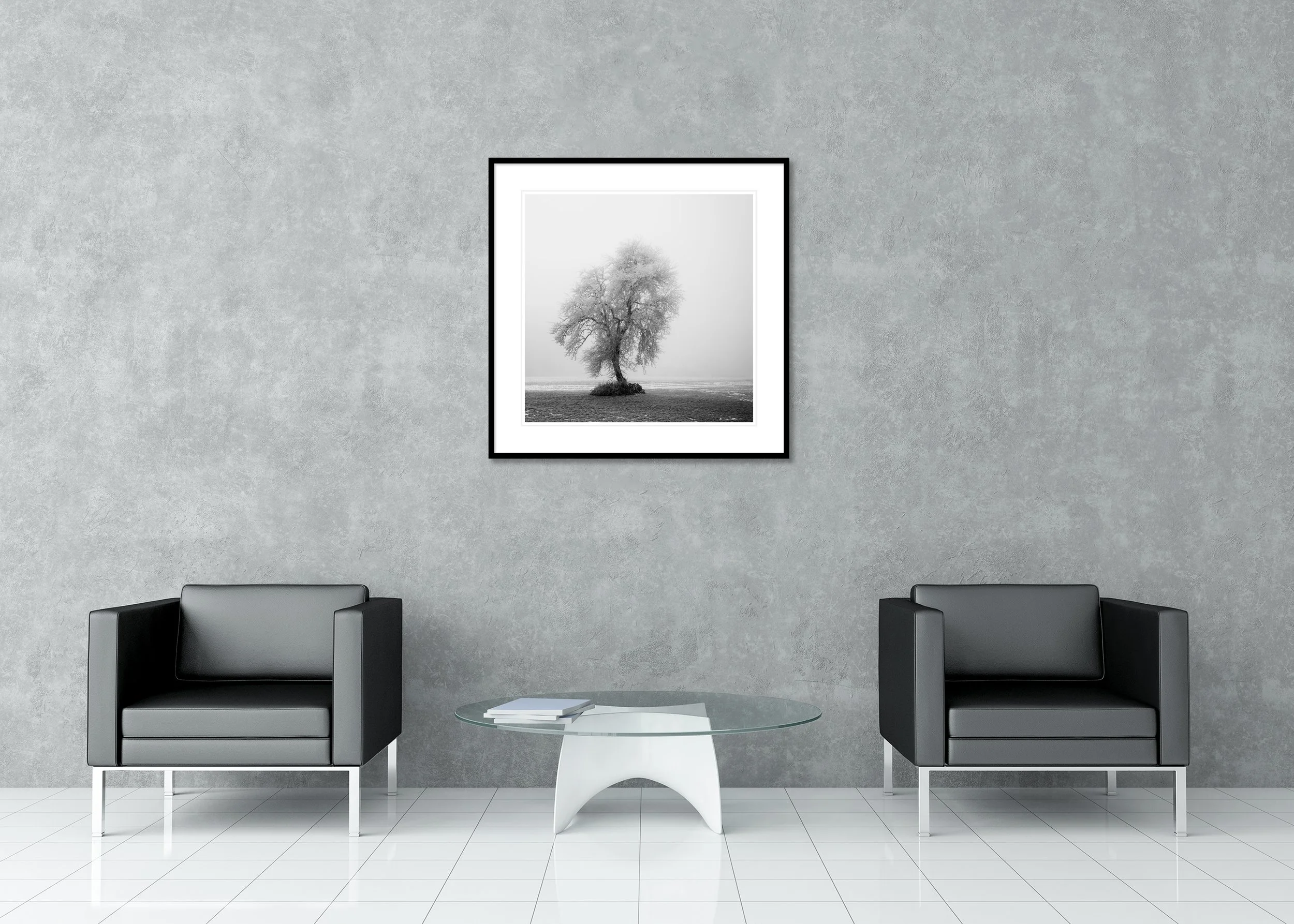 Fine art black and white image of a leafless tree covered in frost in a quiet winter meadow, archival pigment print in a classic frame with a mount.