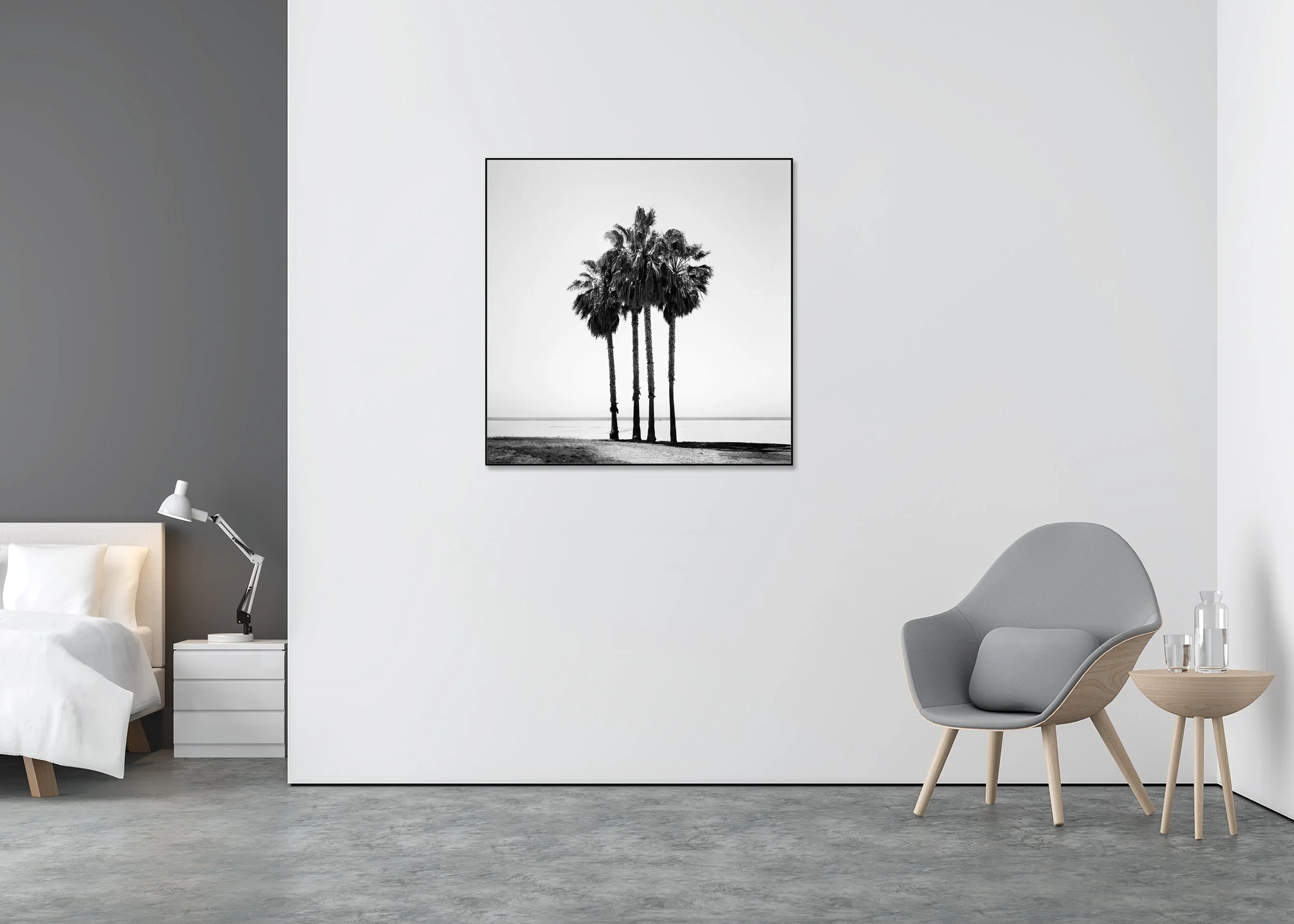 Four palm trees in California, USA, black-and-white fine art photo print mounted to Dibond in an aluminium ArtBox