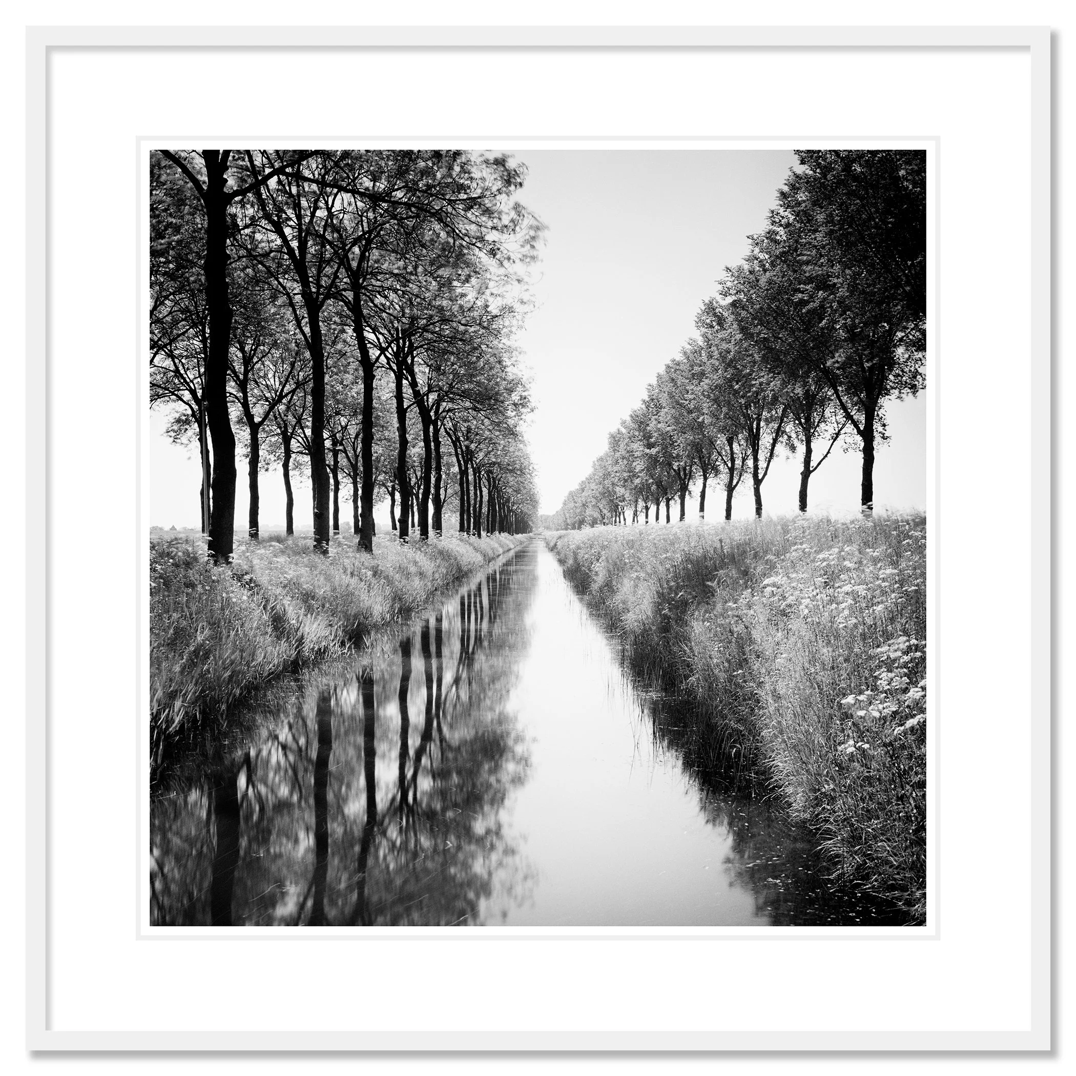 Gracht Study 1, Netherlands archival pigment print in a white aluminium frame with white mount