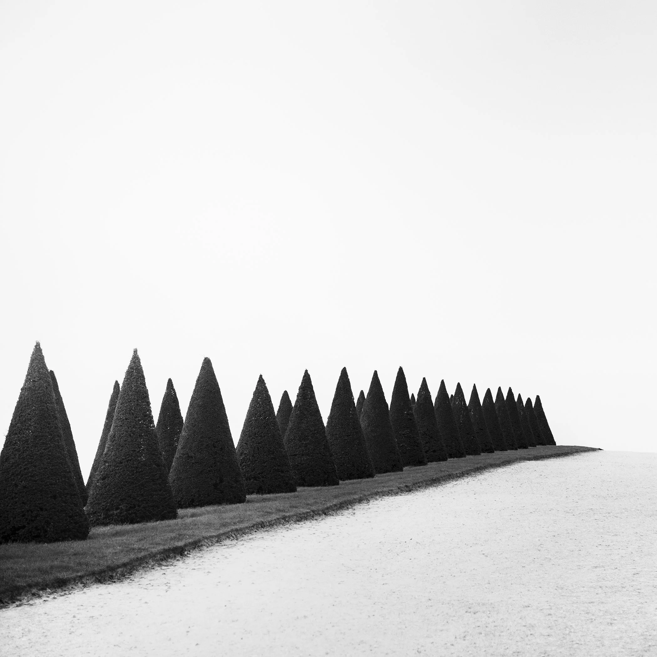 Hedges, Study 1 – minimalist black-and-white photograph of sculpted topiary trees in the Gardens of Versailles, France, by Gerald Berghammer.