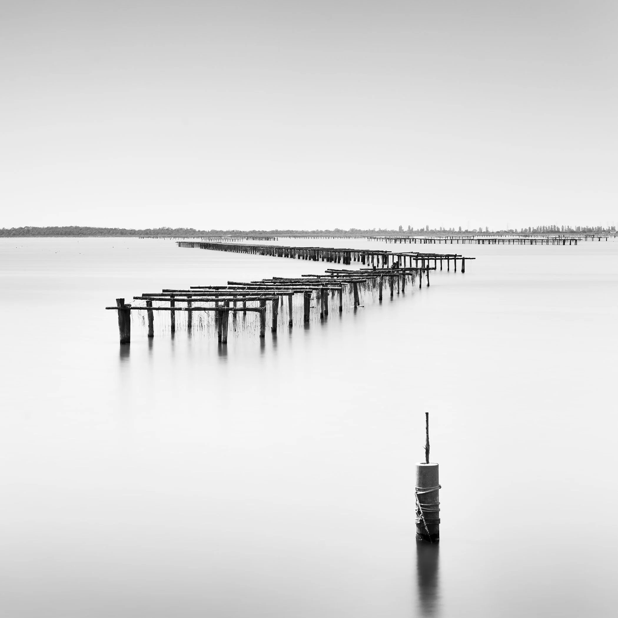 Aquaculture Structures Study 4 – square black-and-white fine art photograph of aquaculture structures in Italy by Gerald Berghammer.