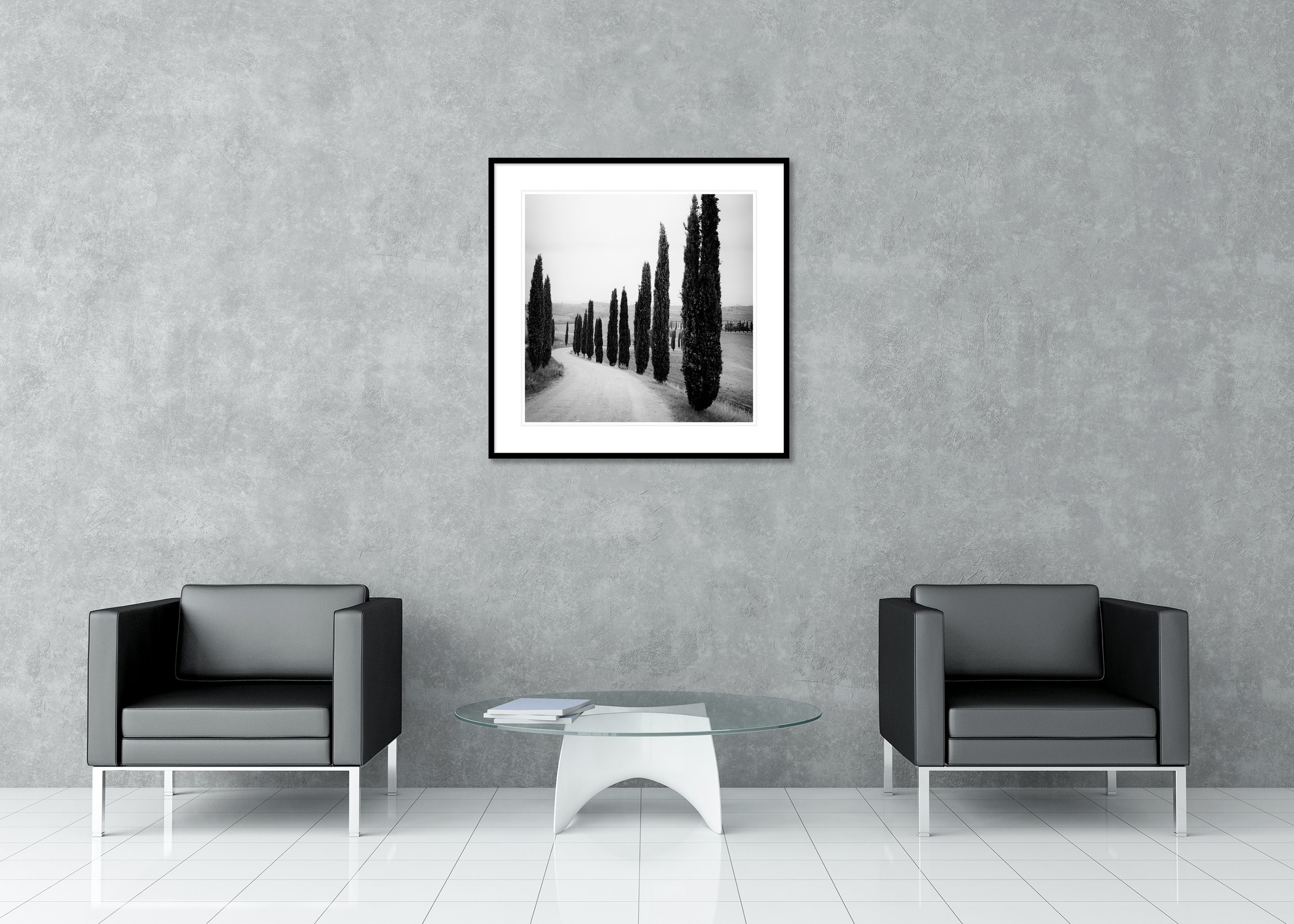Black and white Tuscany photograph of tall cypress trees beside a winding rural track, archival pigment print in a classic frame with a mount.