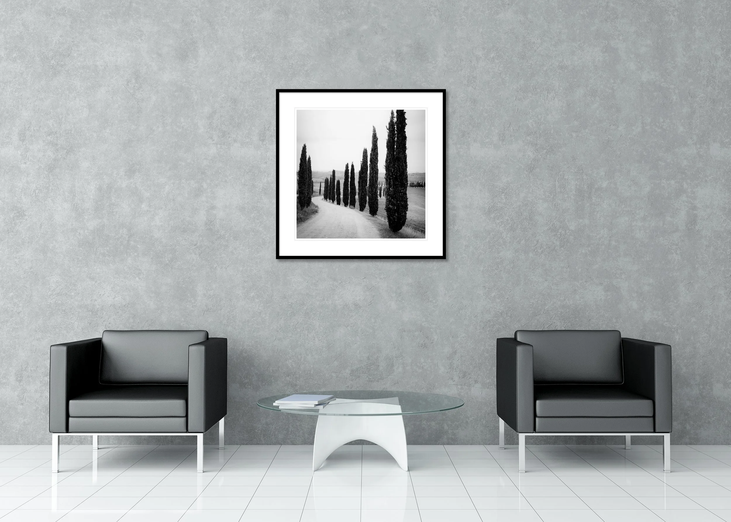 Cypress Trees Along the Road Study 2 displayed as an archival pigment print in a black aluminium frame with a white mount by Gerald Berghammer.