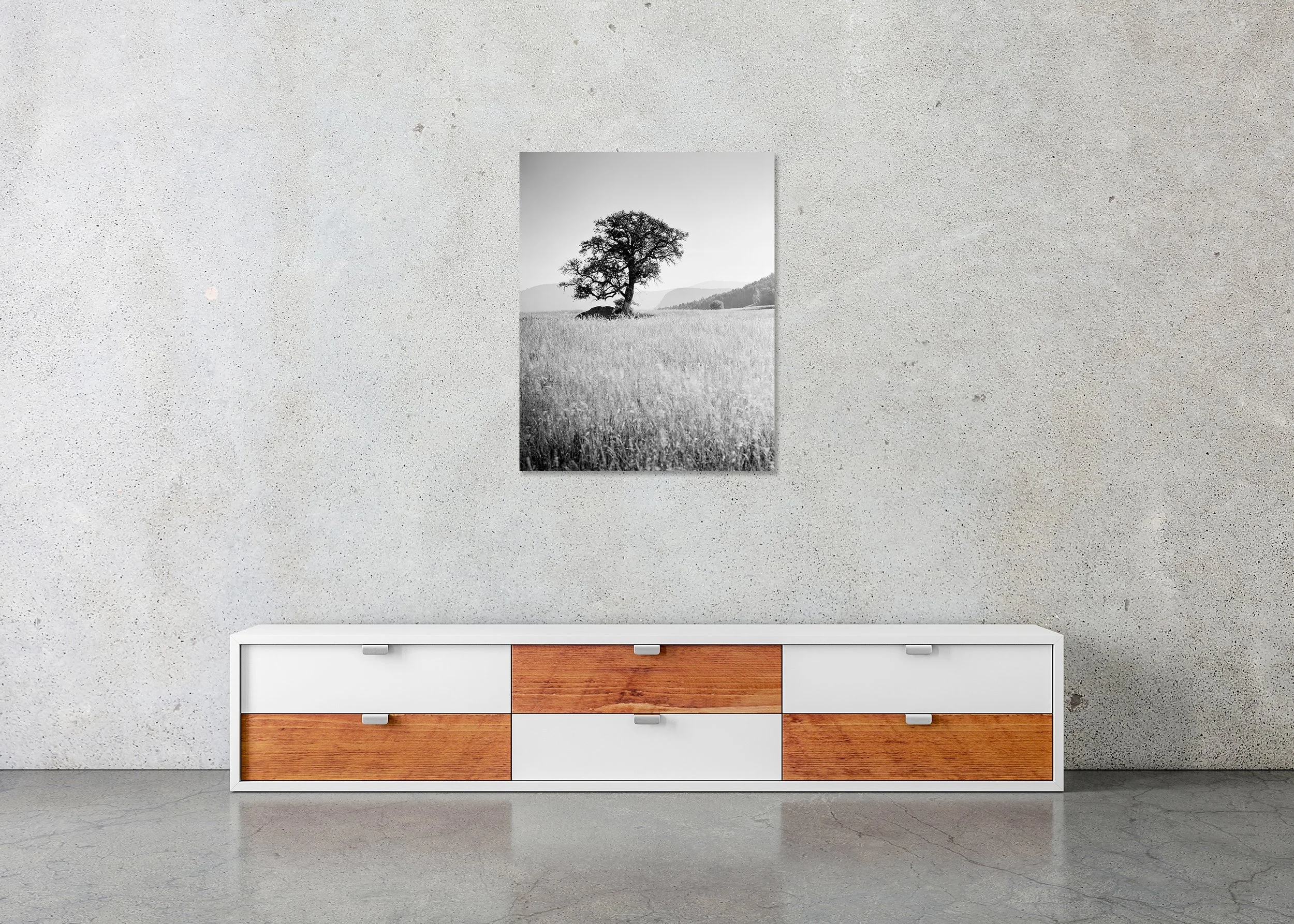 Morning Sun displayed in a modern interior as a frameless black-and-white artwork mounted on aluminium Dibond by Gerald Berghammer.