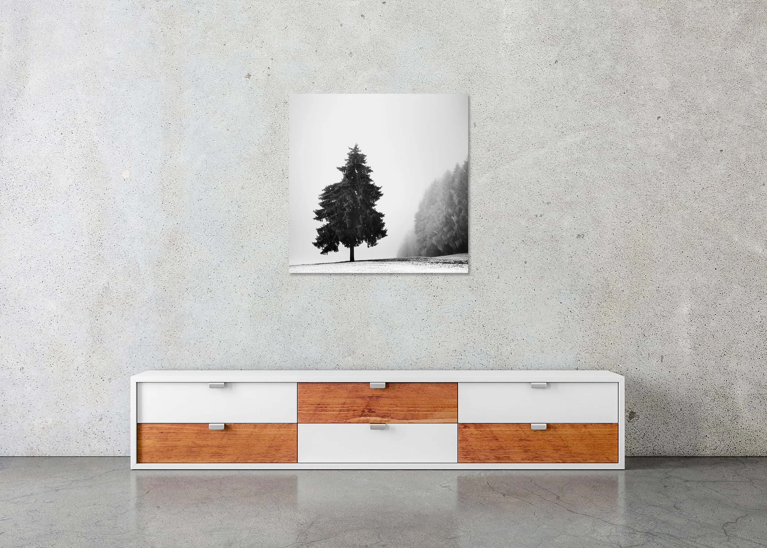 Black-and-white photo print of a solitary evergreen tree in a snowy winter field, with a foggy forest in the background, mounted to Dibond, frameless.