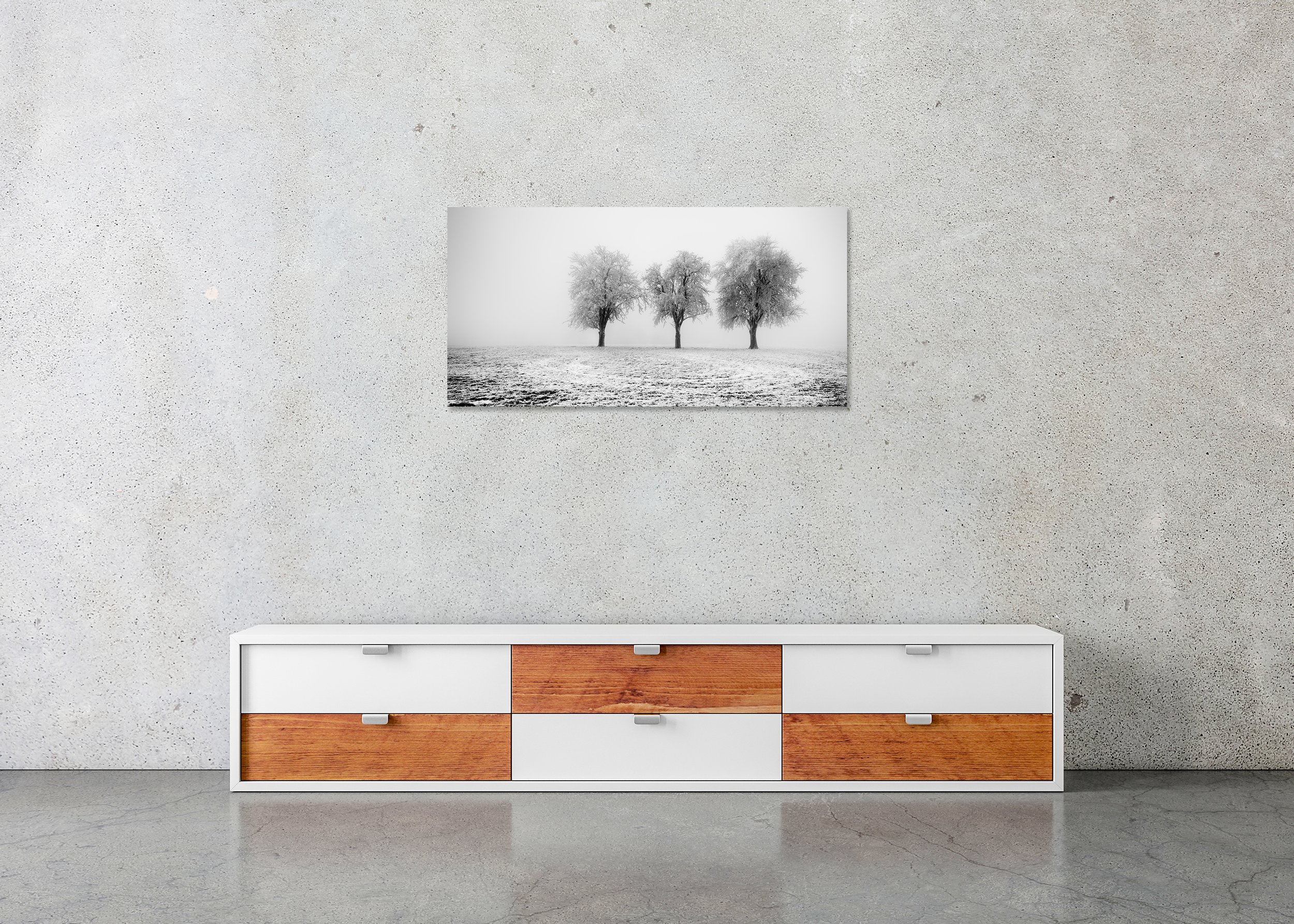 Black and white photo print of three icy trees in a snow-covered field under a foggy sky, mounted to Dibond, frameless.