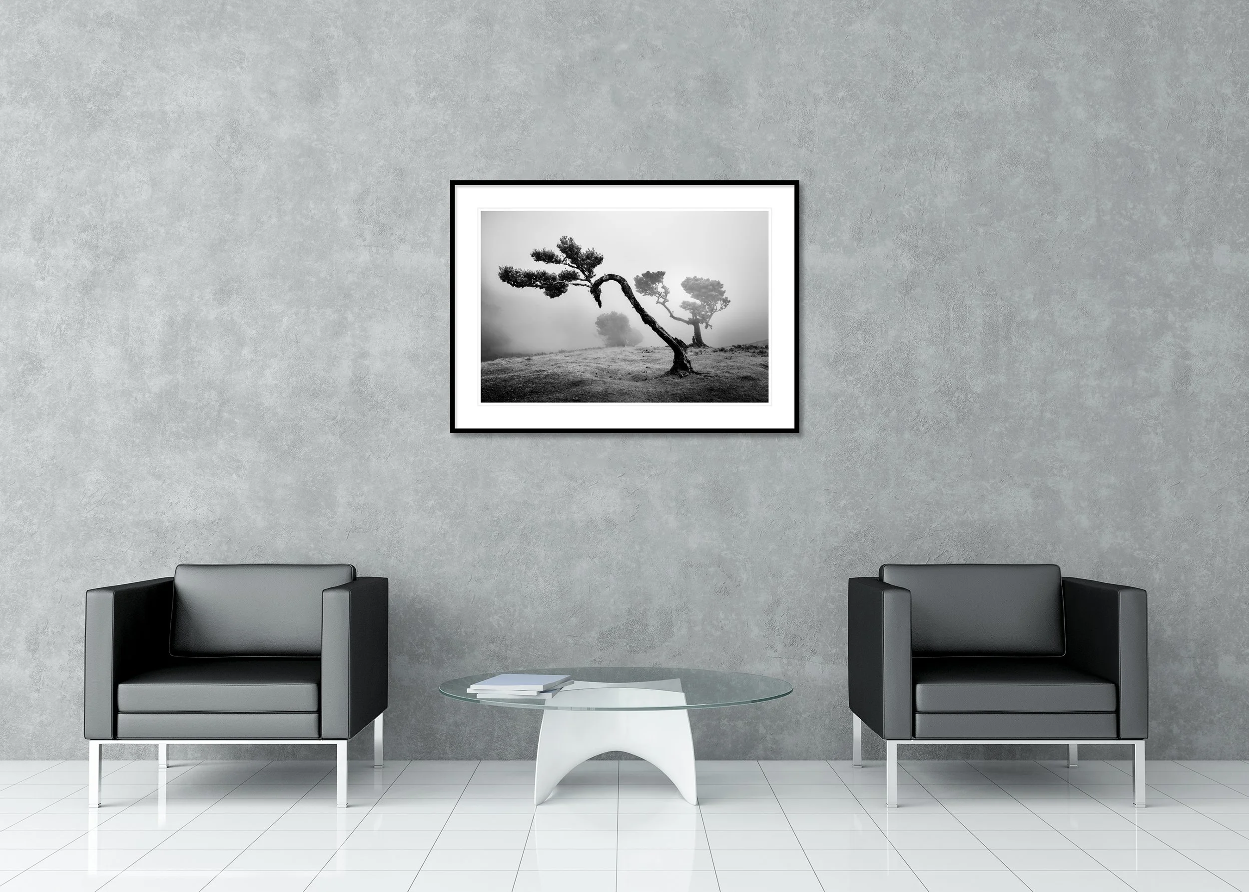 Ancient Laurisilva Forest Study 2 displayed in a modern interior as an archival pigment print in a black aluminium frame with a white mount.