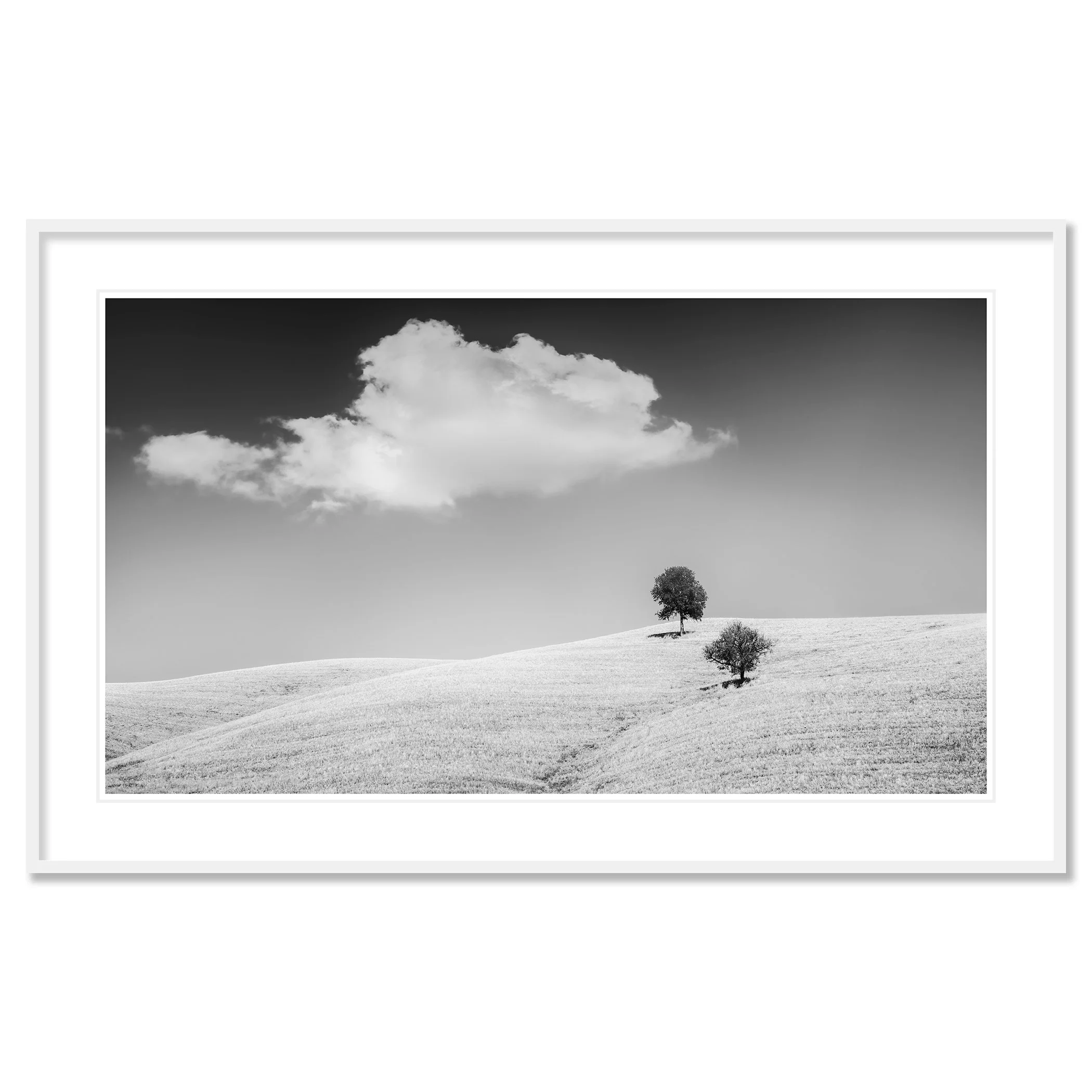 Rolling Hills with Trees Study 1 – Tuscany, Italy, black-and-white fine art print in a white aluminium frame with white mount