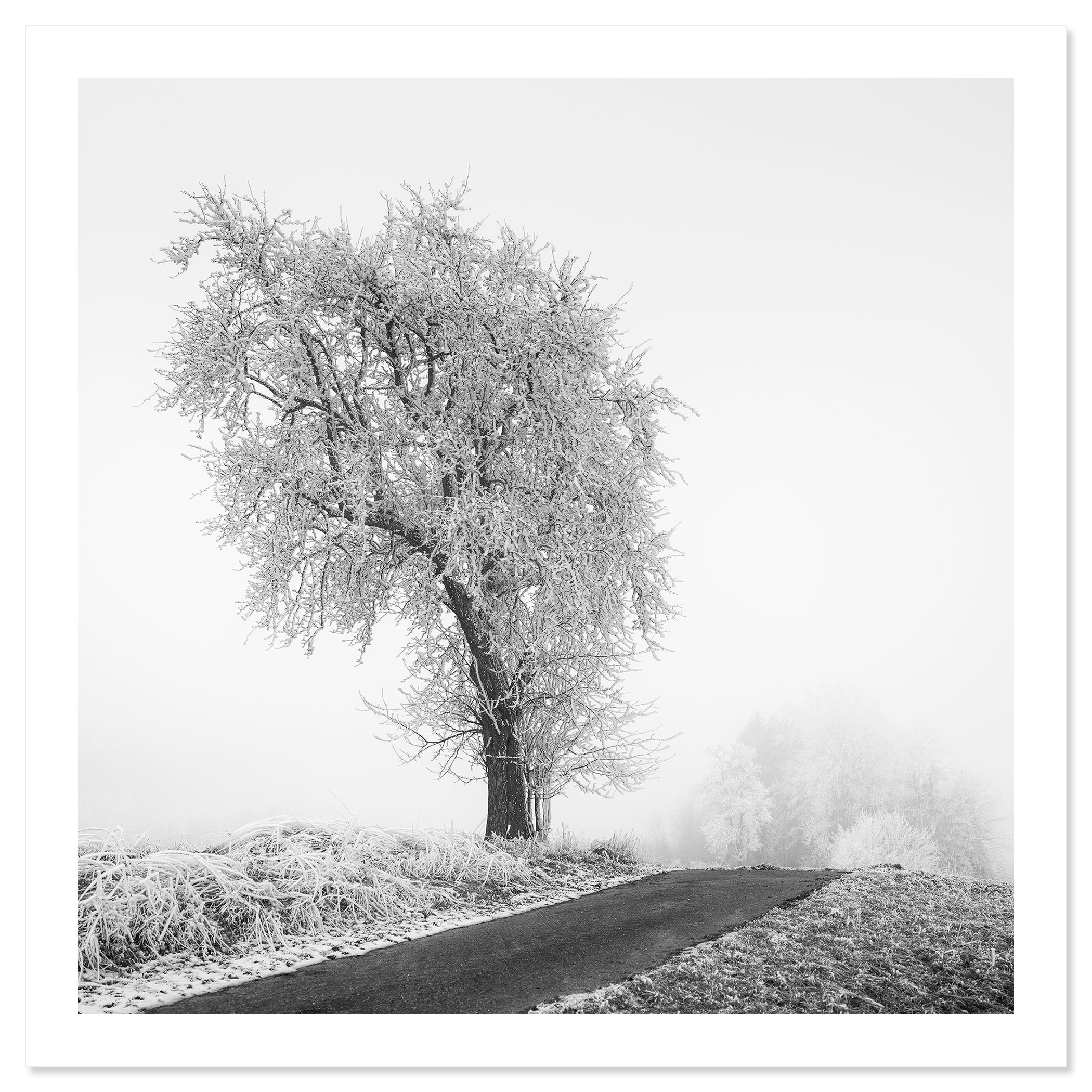 Frozen Farmland Study 3 by Gerald Berghammer, Austrian winter landscape photograph available as an archival pigment print on Hahnemühle Photo Rag Baryta.