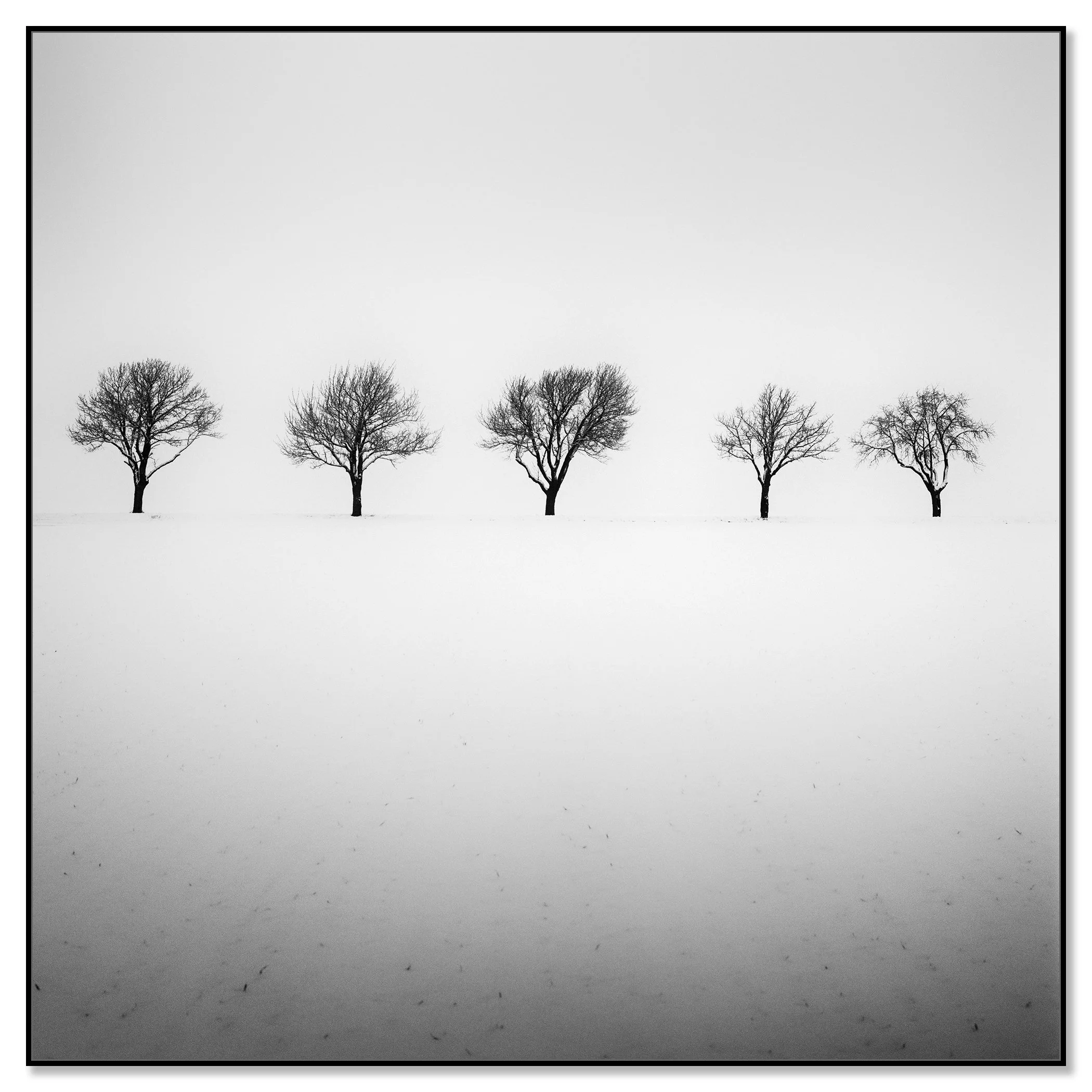 Minimalist winter scene with five leafless trees in a foggy snowy field – framed ArtBox black