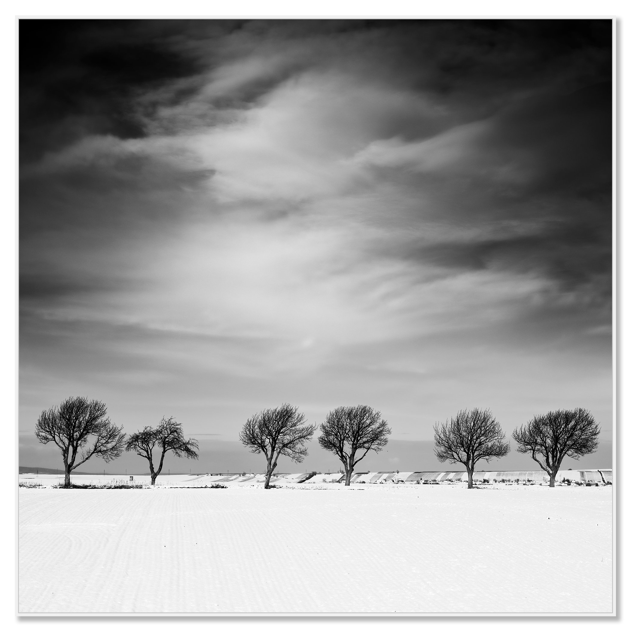 Cherry Tree in Winter, Study 1 – black-and-white ChromaLuxe print in a white aluminium ArtBox. Photo by Gerald Berghammer.