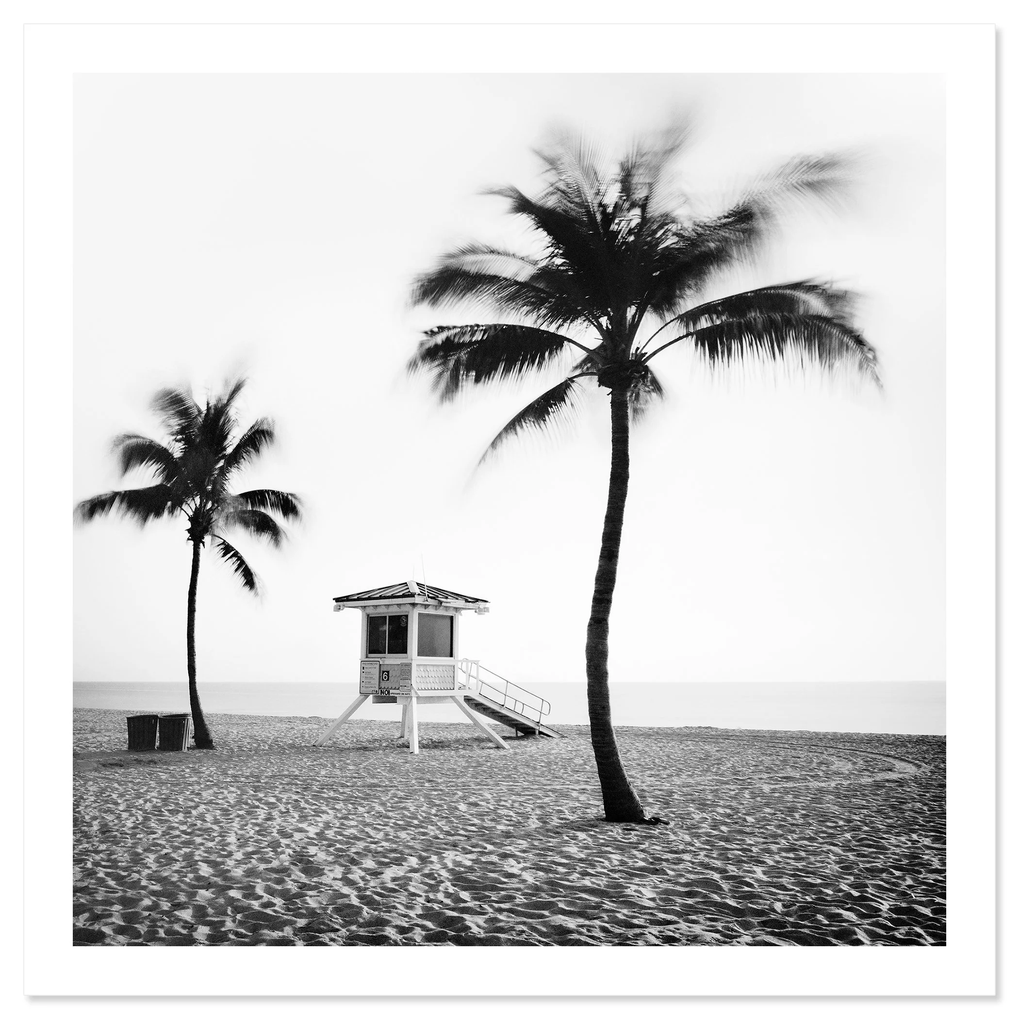 Fort Lauderdale Beach, Study 4 fine art print with palm trees and a lifeguard tower by Gerald Berghammer.