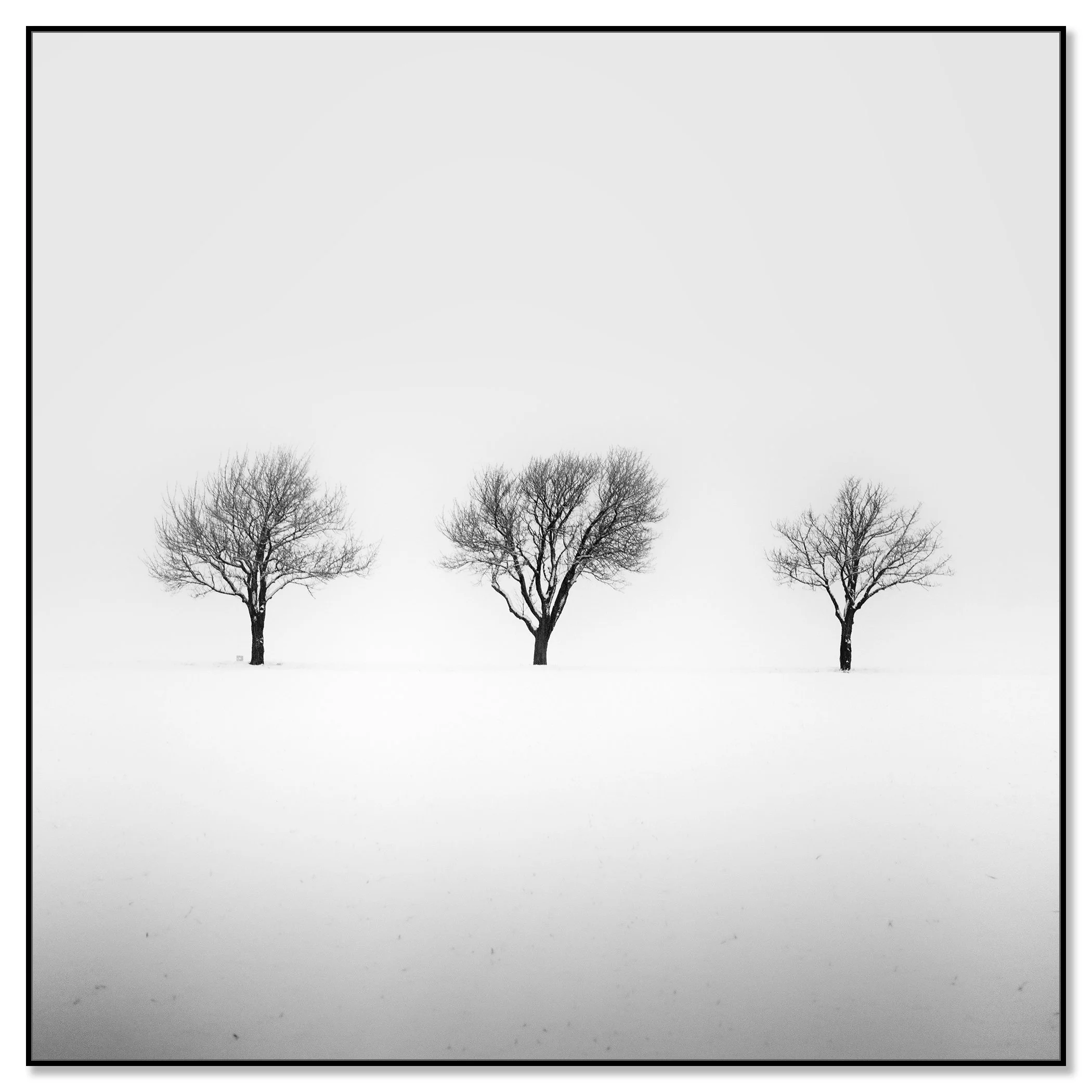 Three bare trees in a snowy field on a misty winter morning in Austria – framed ArtBox black