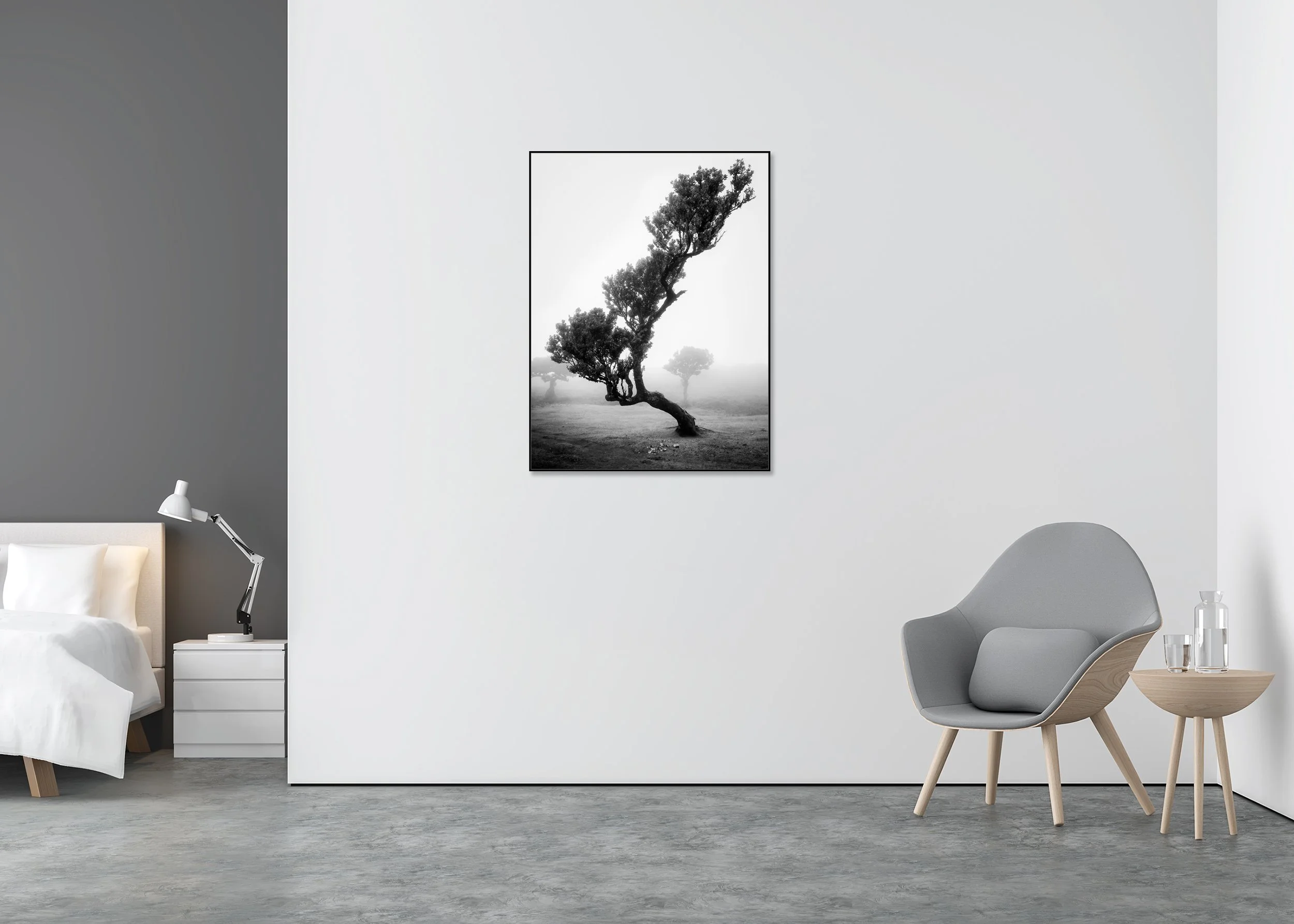 Minimalist foggy black-and-white landscape of a solitary leaning tree in the ancient Laurisilva Forest as a ChromaLuxe metal print in an Aluminium ArtBox