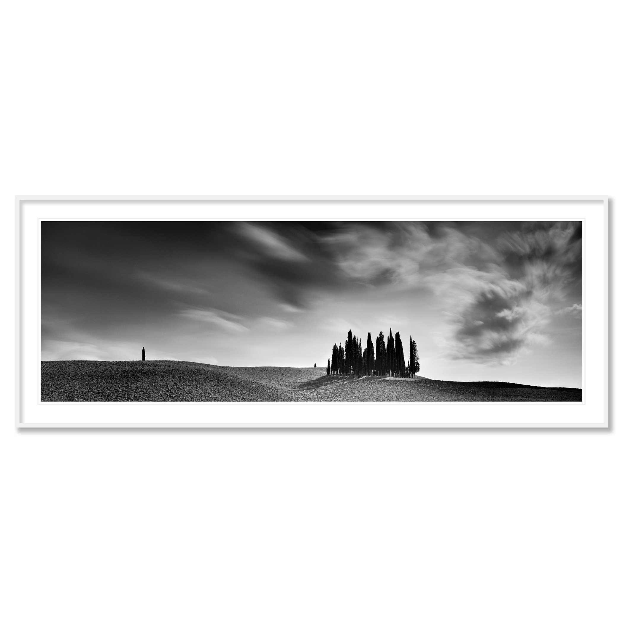 Cypress Hill Panorama Study 4 by Gerald Berghammer in a white aluminium frame with white mount.
