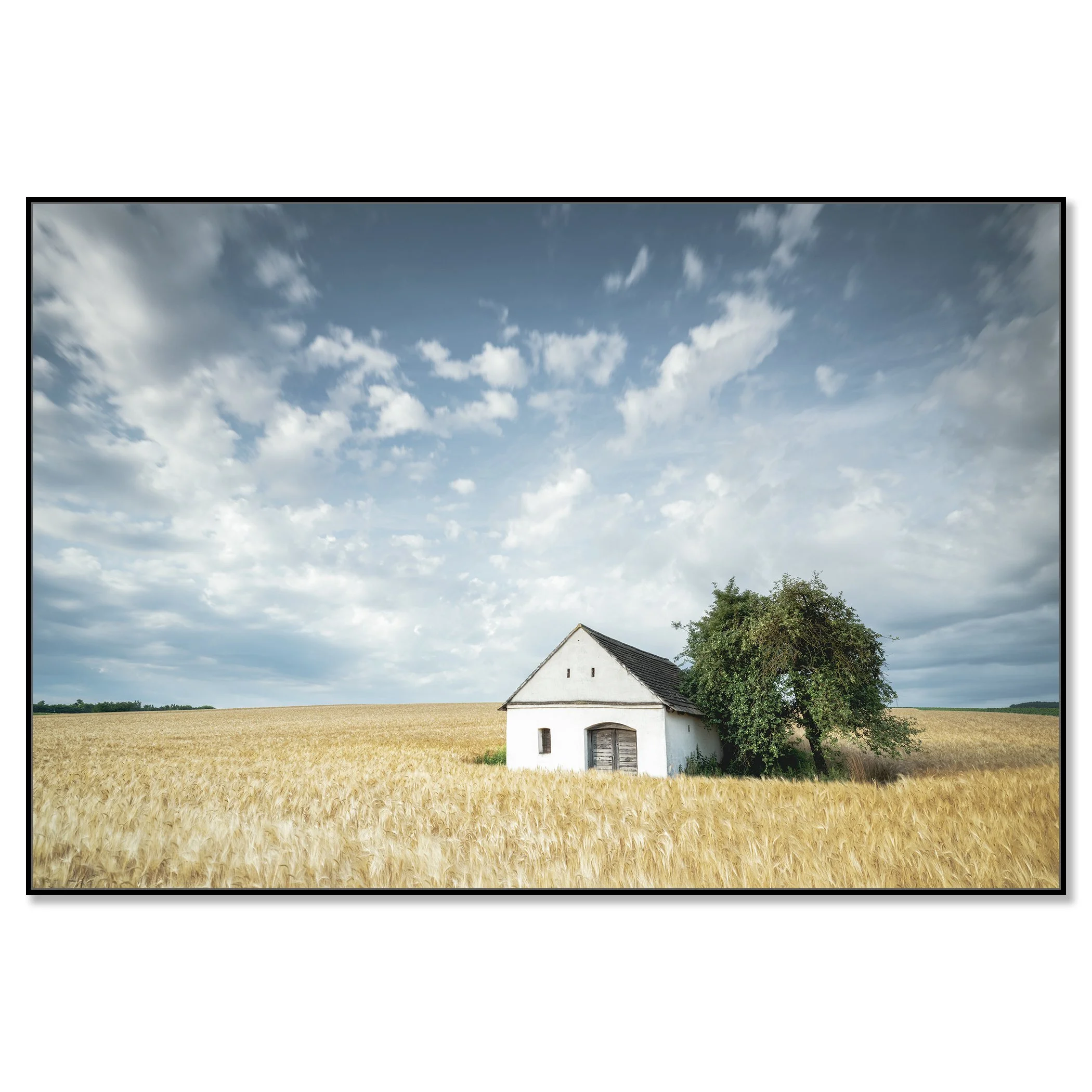 © 2021 Gerald Berghammer - Color Fine Art Landscape Photography. Small wine press in a golden cornfield, beside a large green tree under a partly cloudy sky. Chromaluxe framed black