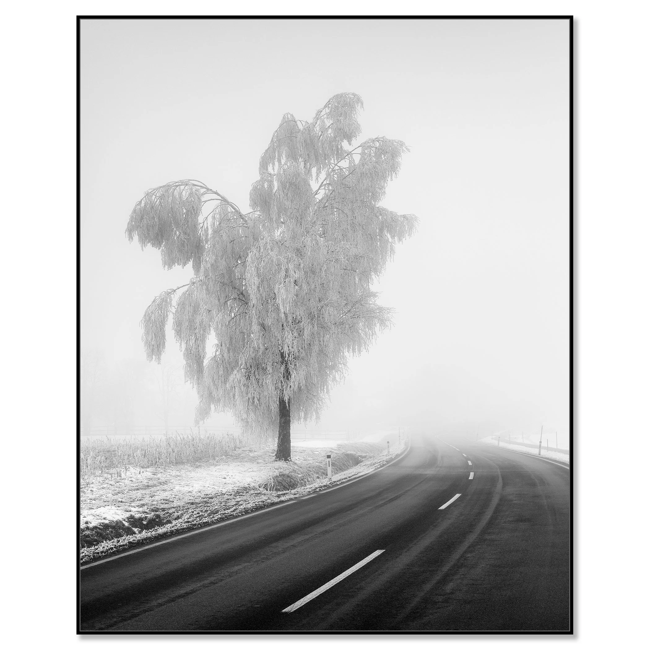 Frozen Birch Tree Study 2 mounted on aluminium Dibond in a black ArtBox frame, featuring a misty Austrian winter landscape by Gerald Berghammer.