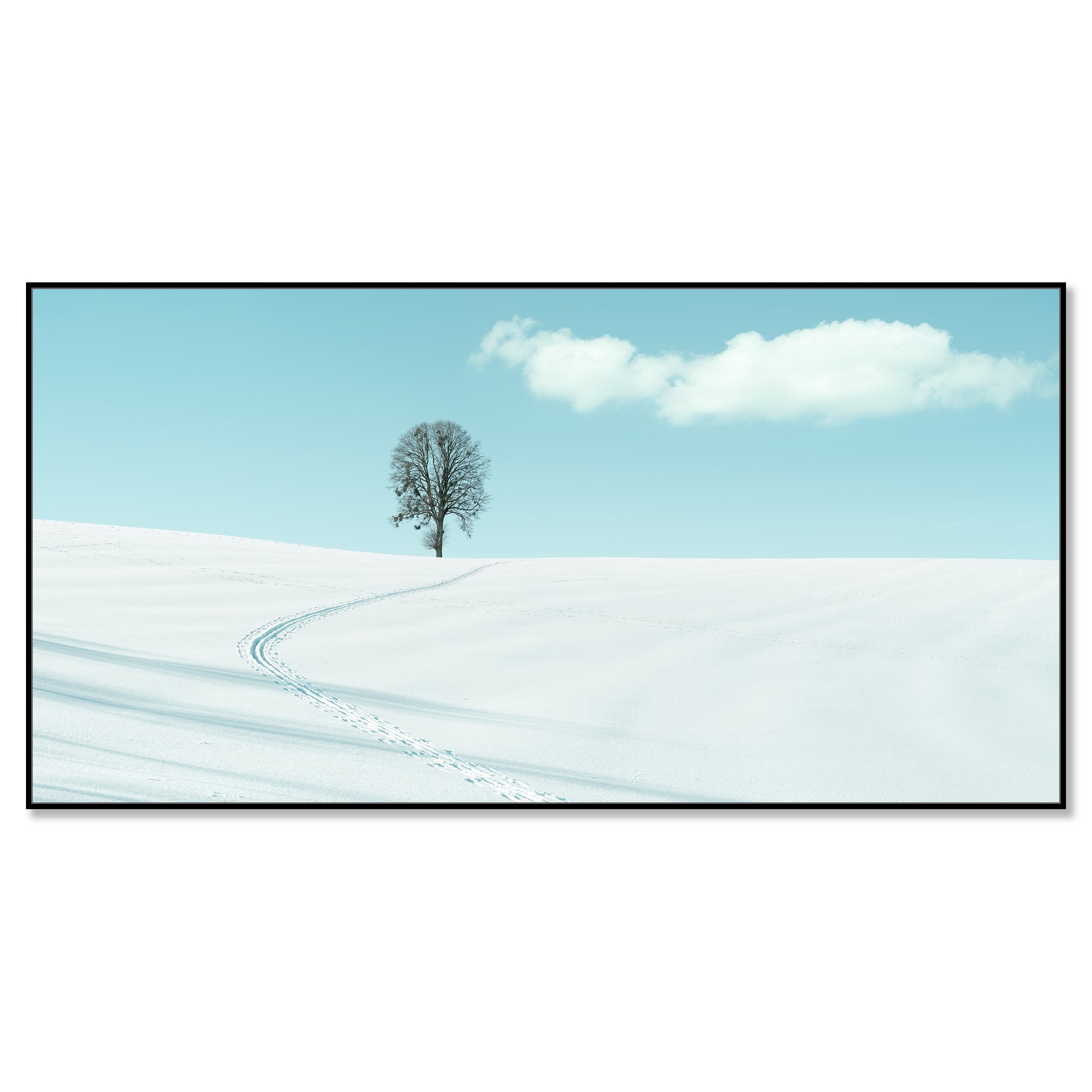 Winter Path to the Lone Tree – Austria, colour photo print mounted to Dibond in a black aluminium ArtBox.