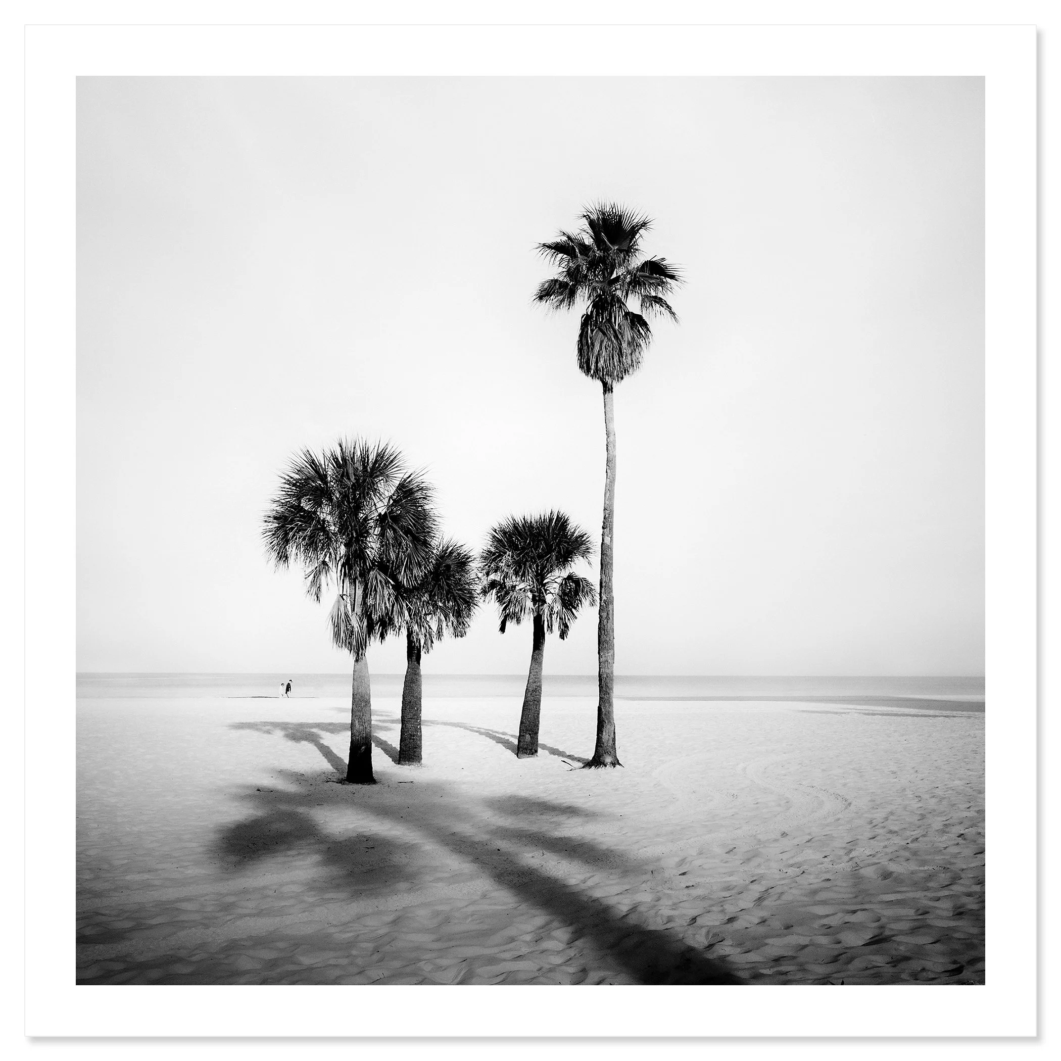 Palm Beach Study 5 shown as an archival pigment fine art print with a white border by Gerald Berghammer.