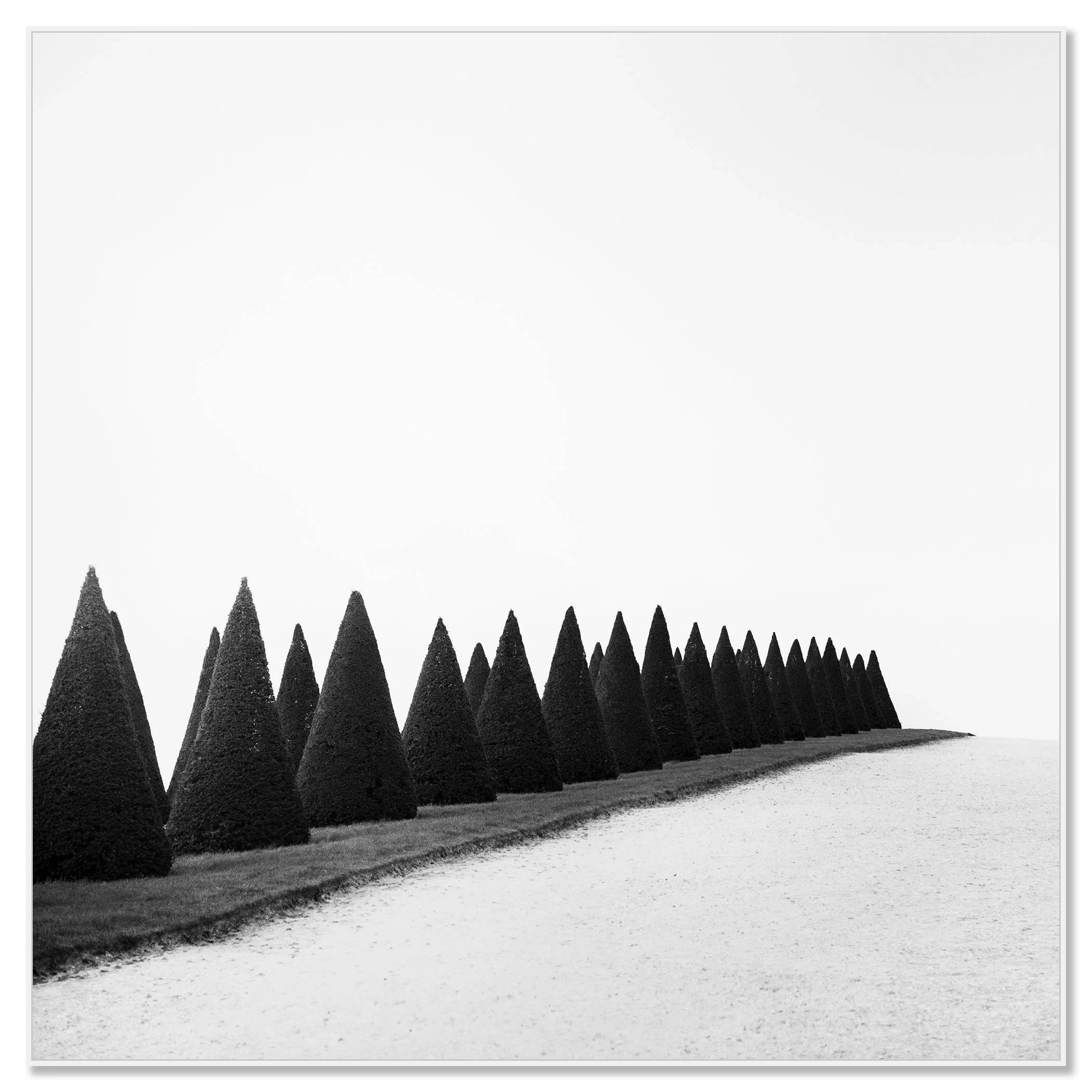 Hedges, Study 1 – black-and-white photograph of Versailles hedges mounted on Dibond in a white aluminium ArtBox by Gerald Berghammer.