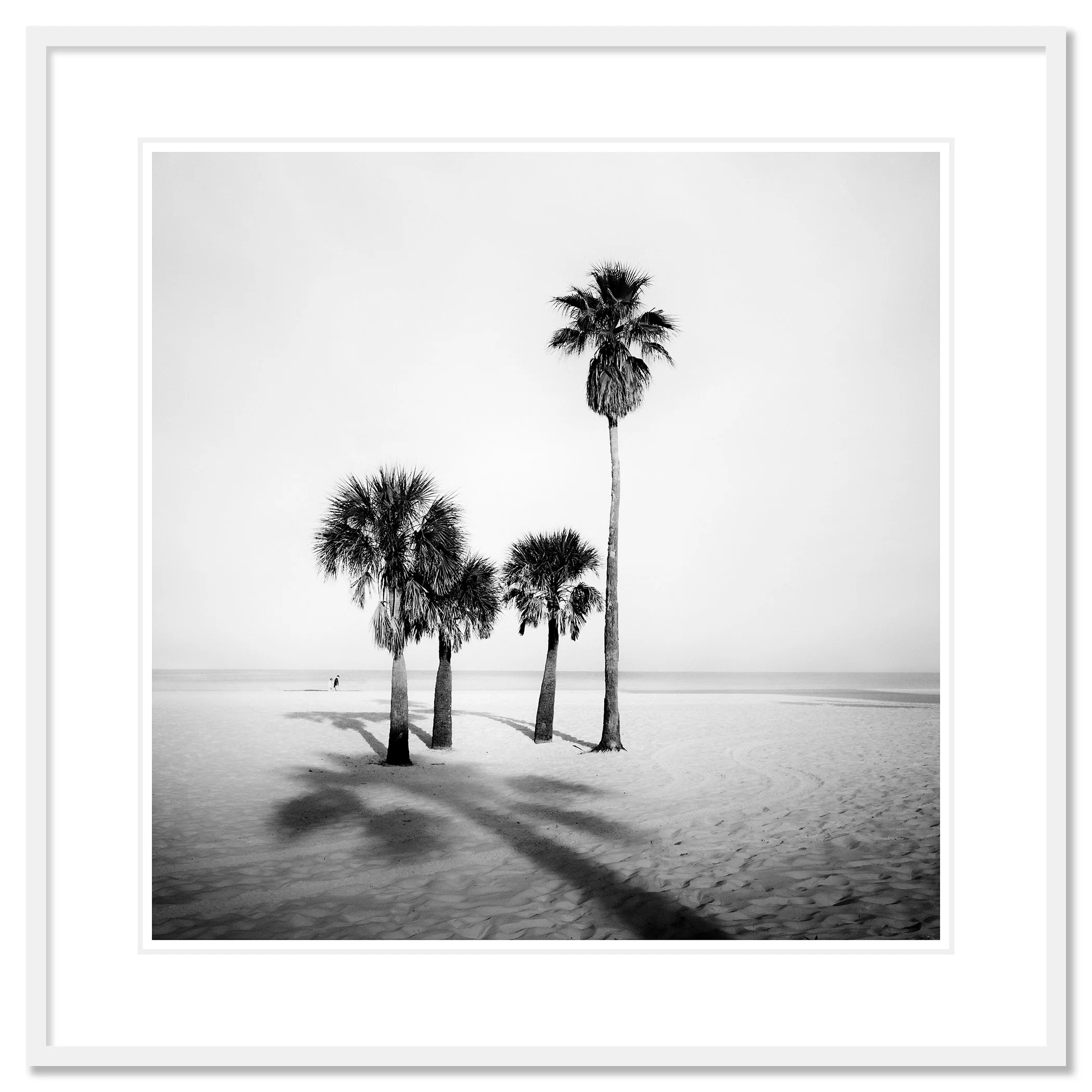Palm Beach Study 5 shown in a white aluminium frame with a white mount by Gerald Berghammer.