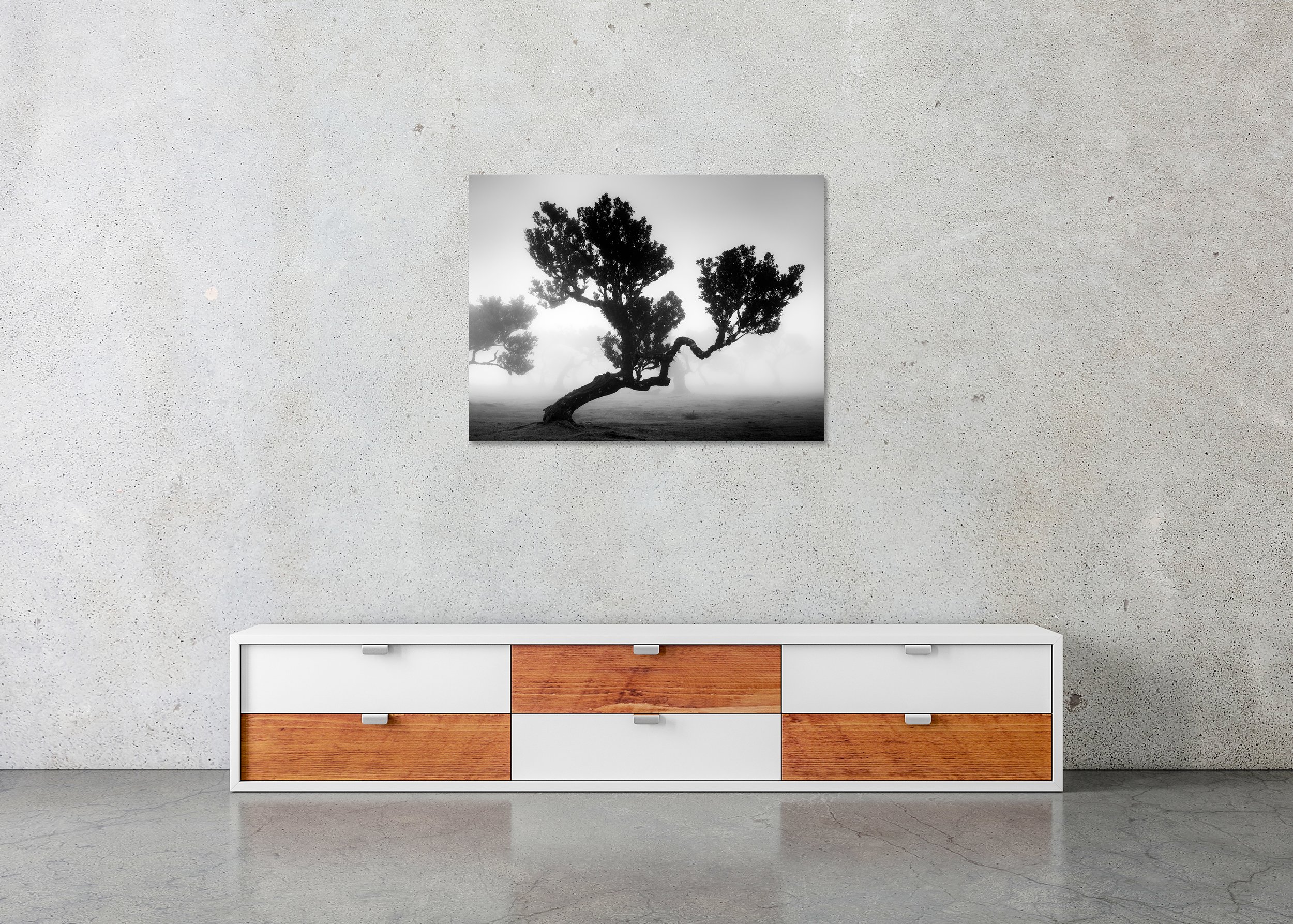 Ancient Laurisilva Forest, Study 3, displayed as a frameless black-and-white Dibond print above a low cabinet in a minimalist interior.