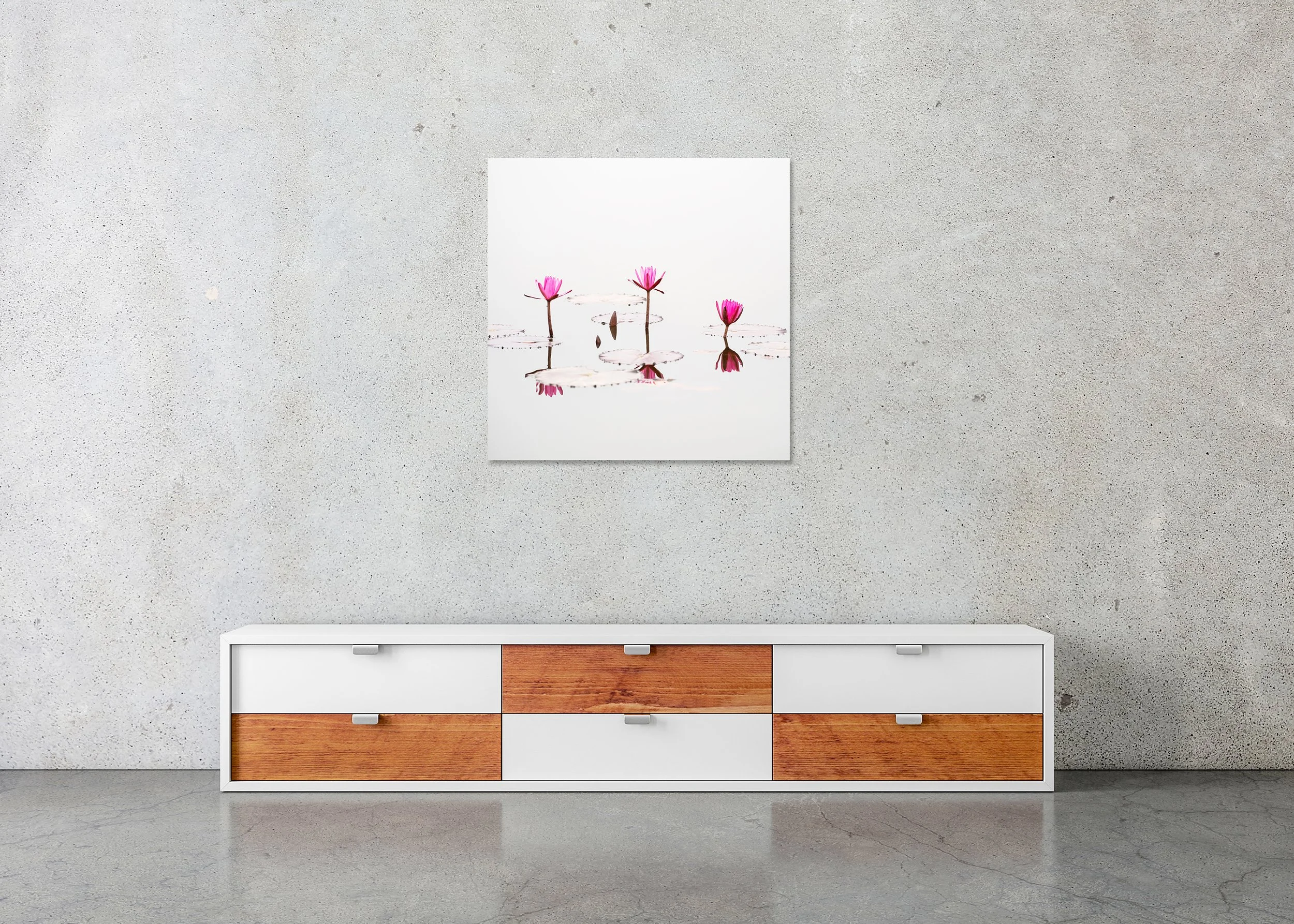Nelumbo nucifera, Study 1 – Vietnam, frameless colour photo print mounted to aluminium Dibond.