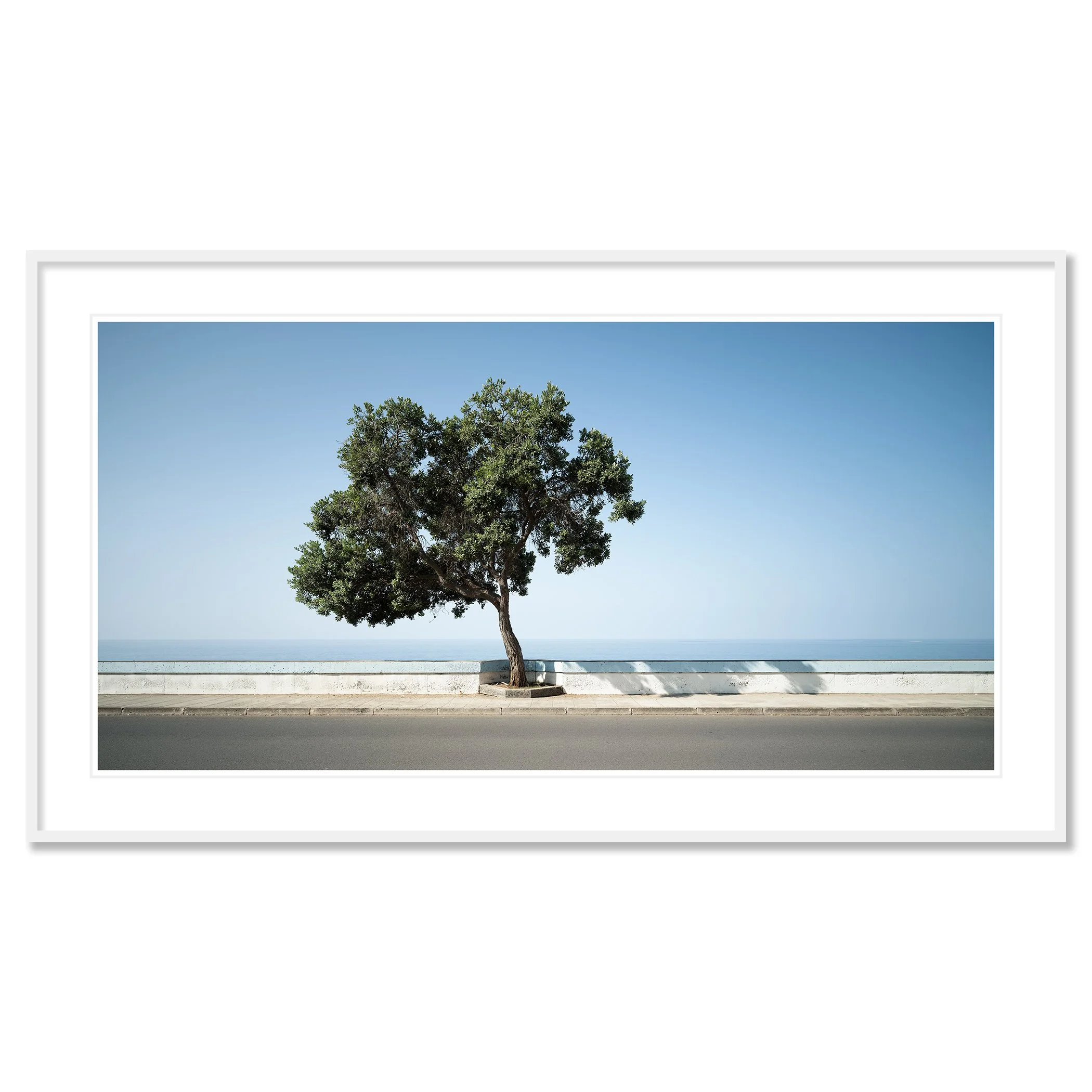 Gerald Berghammer - Color Landscape Photography. A lone tree with green leaves growing beside a paved road, with the ocean and a clear blue sky. Classic framed white