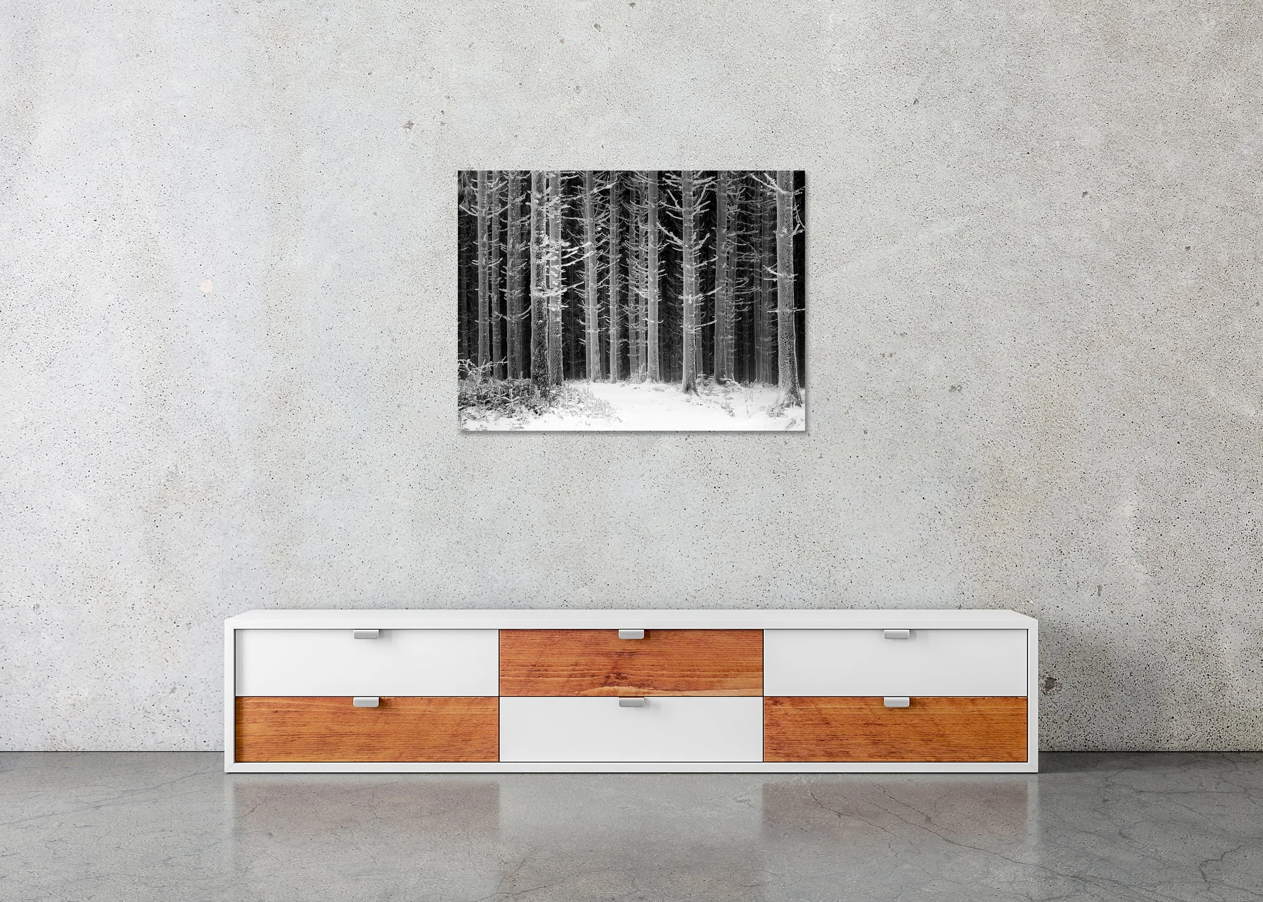 Path Through the Frosted Forest – Austria, black-and-white photo print mounted to frameless aluminium Dibond.