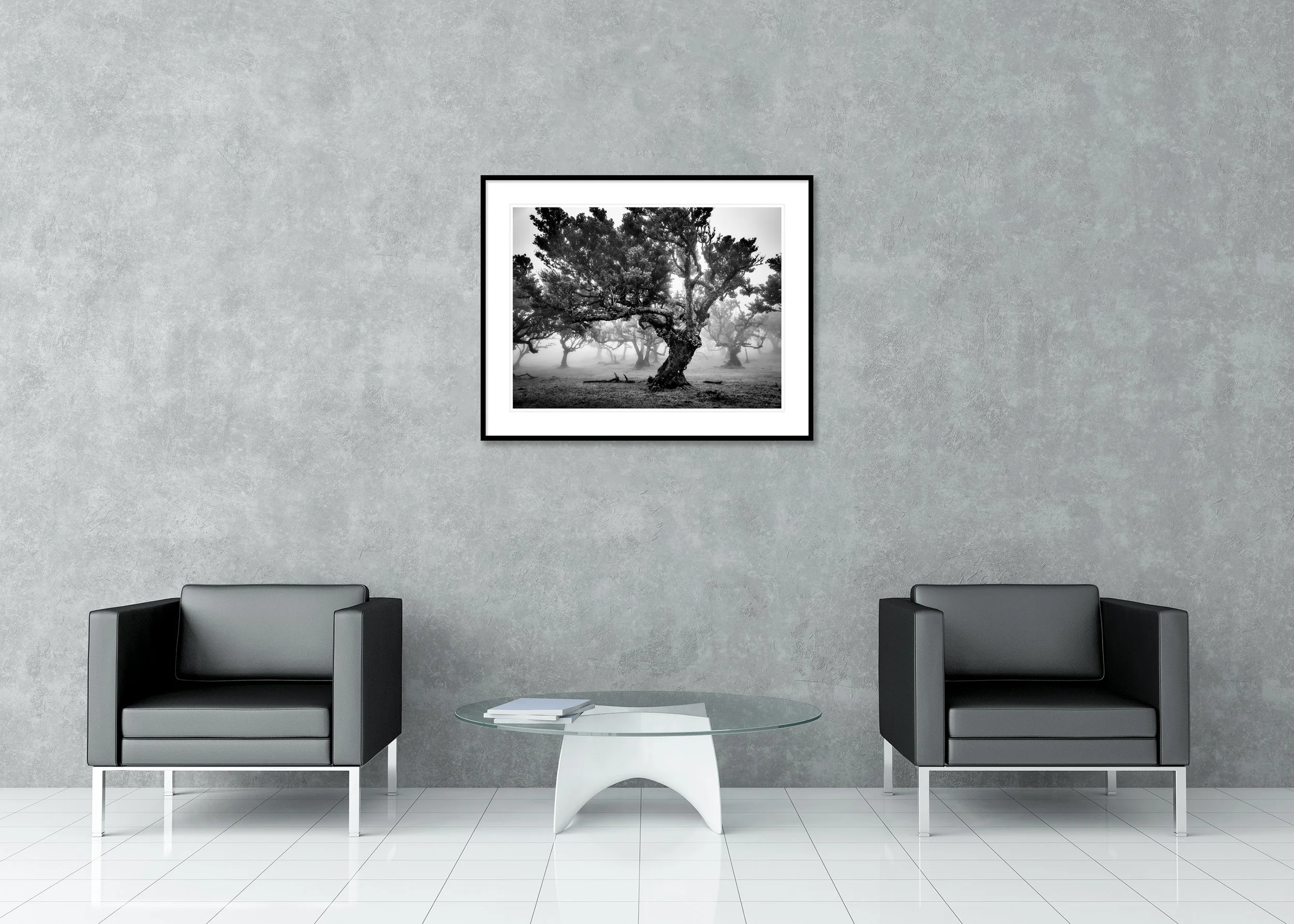 Fine art black and white archival pigment print of twisted trees in mist, presented in a classic frame with a mount.