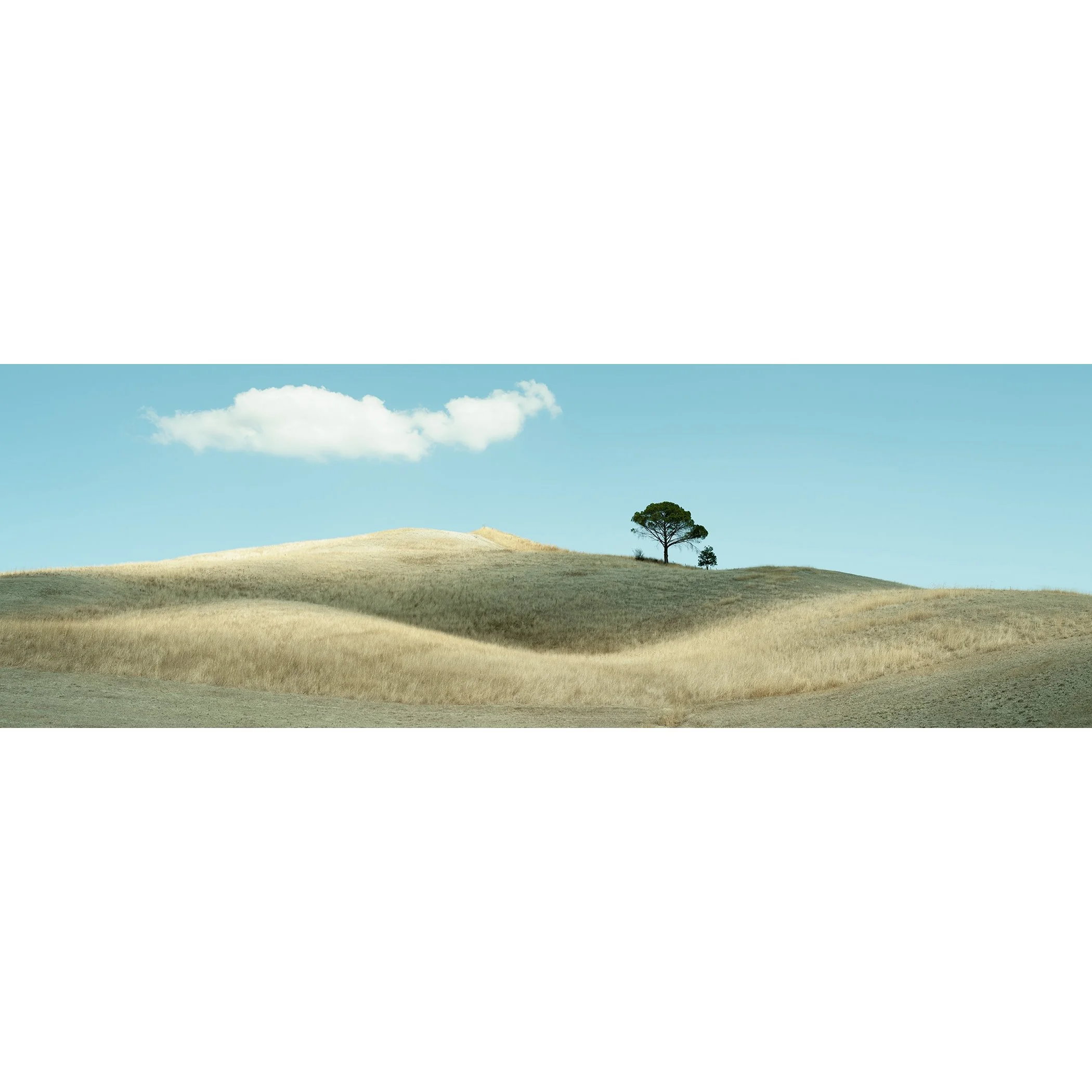 © 2021 Gerald Berghammer - Color Tuscany landscape photography. Landscape with rolling hills, a single tree, a huge cloud, and a field of dry grass.