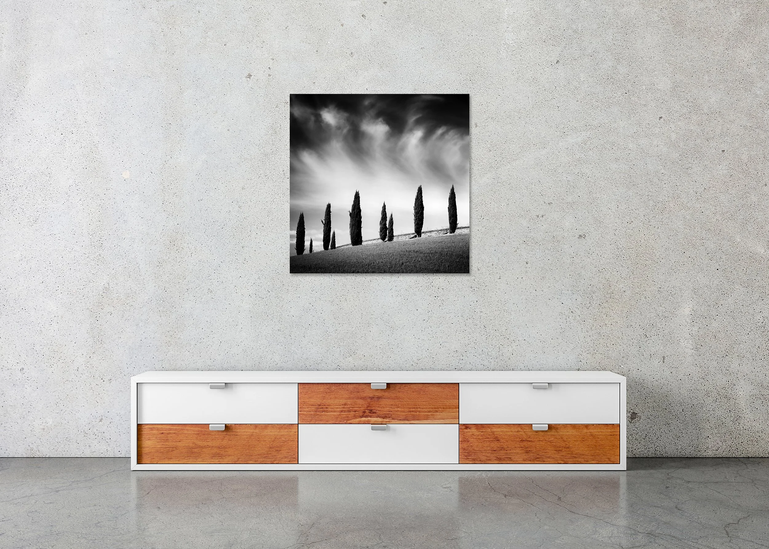 High-contrast black and white photo print of cypress trees on an open hillside beneath dramatic clouds, mounted to Dibond, frameless