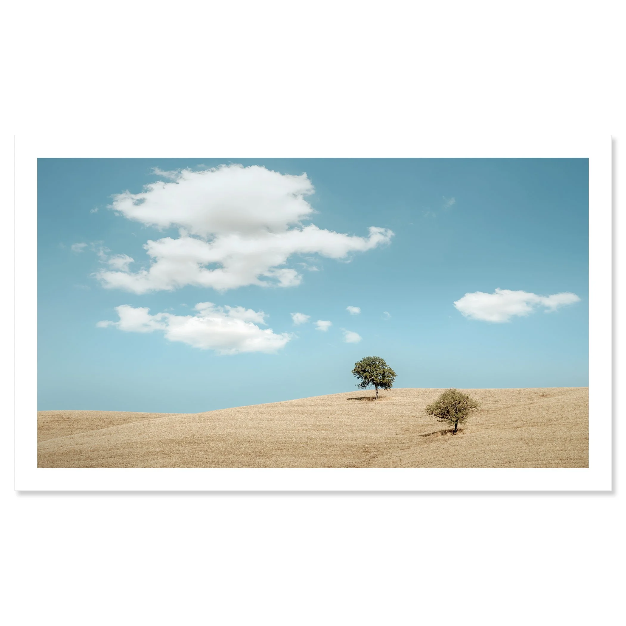 Rolling Hills with Trees – Tuscany fine art print on baryta paper with white border