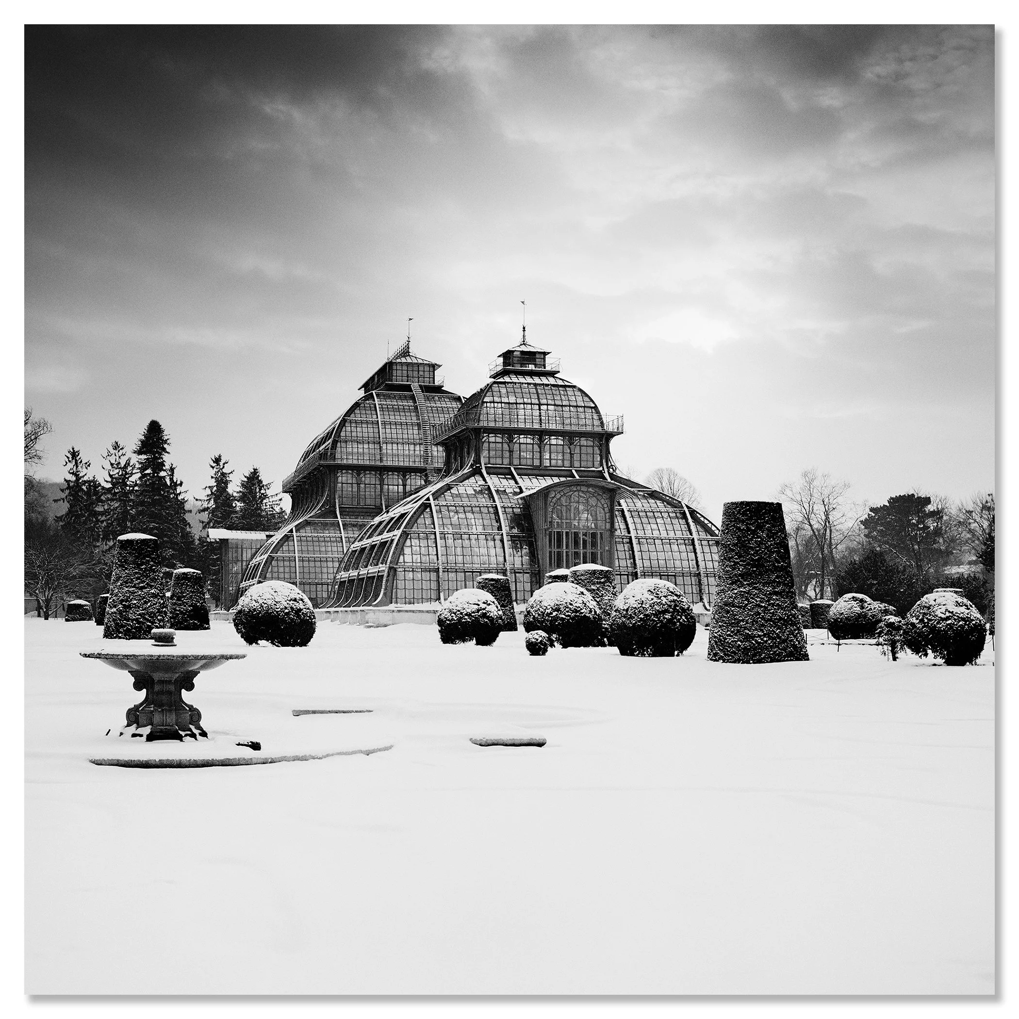 Black-and-white print of the Palm House at Schönbrunn Palace, Vienna, in winter snow, dibond frameless