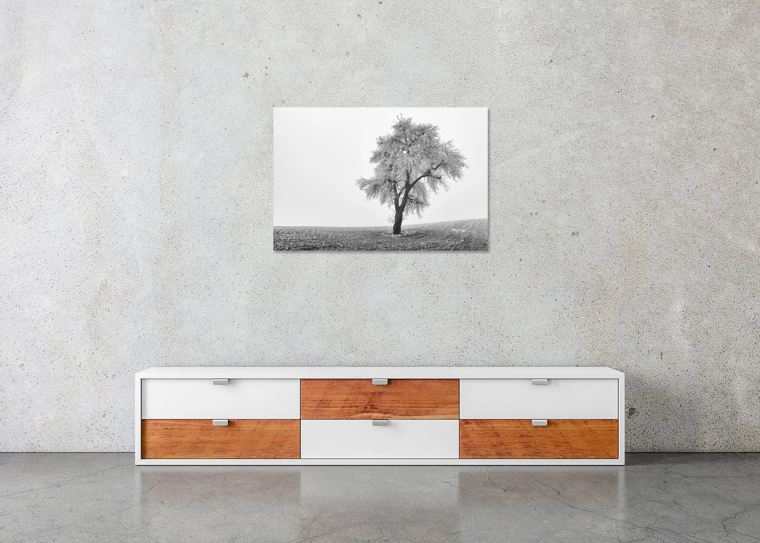 Tree in Frozen Field Study 1 displayed in a modern interior as a frameless black-and-white aluminium Dibond print by Gerald Berghammer.