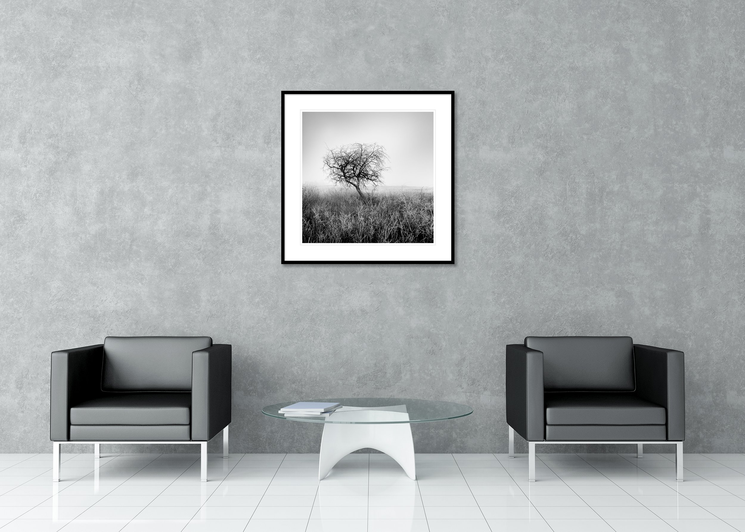 Tree in Hoarfrost Study 1 displayed in a modern interior as an archival pigment print in a black aluminium frame with white mount by Gerald Berghammer.