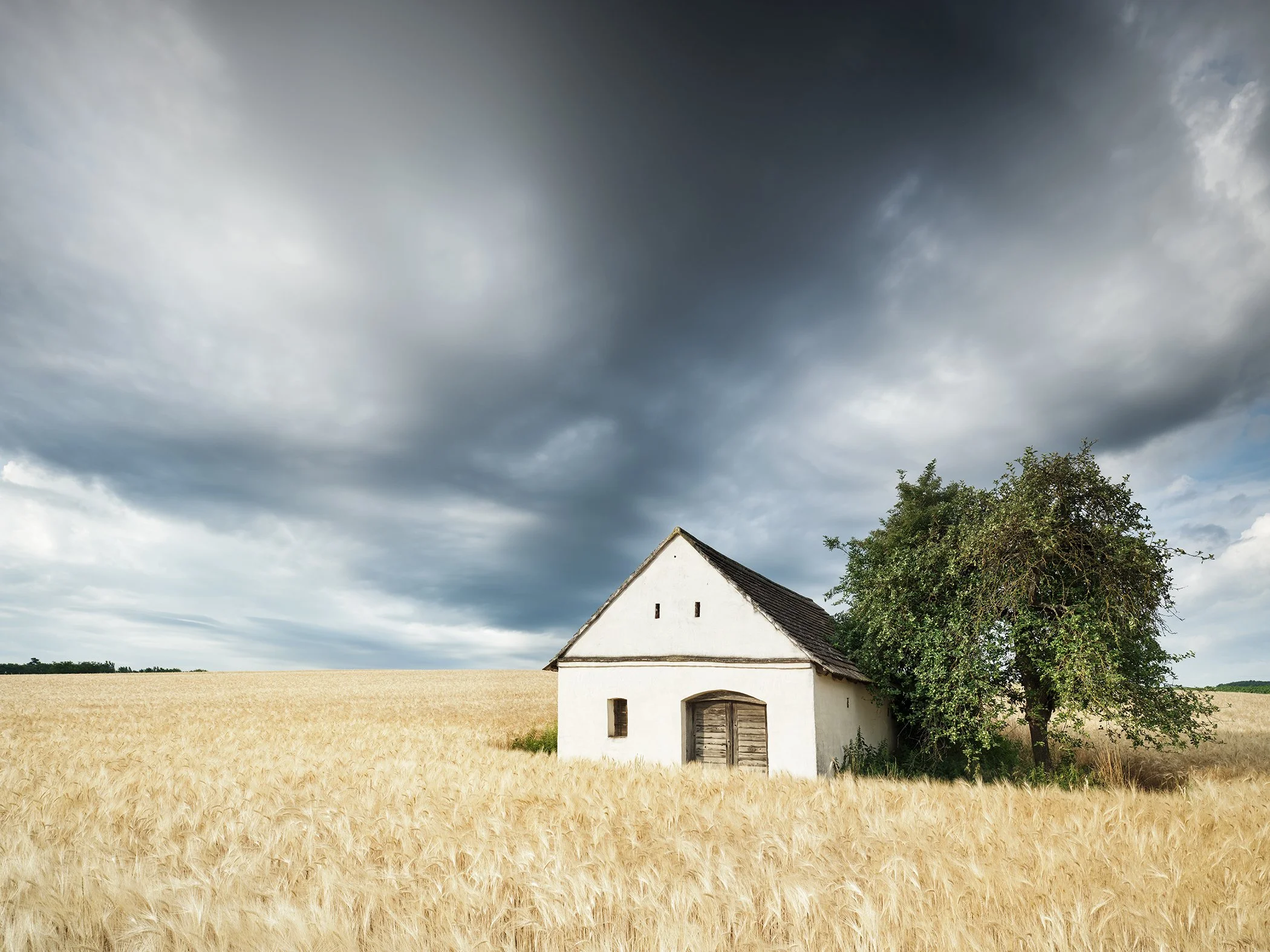 Traditional wine press house beside a tree in a ripe wheat field beneath a dark cloudy sky