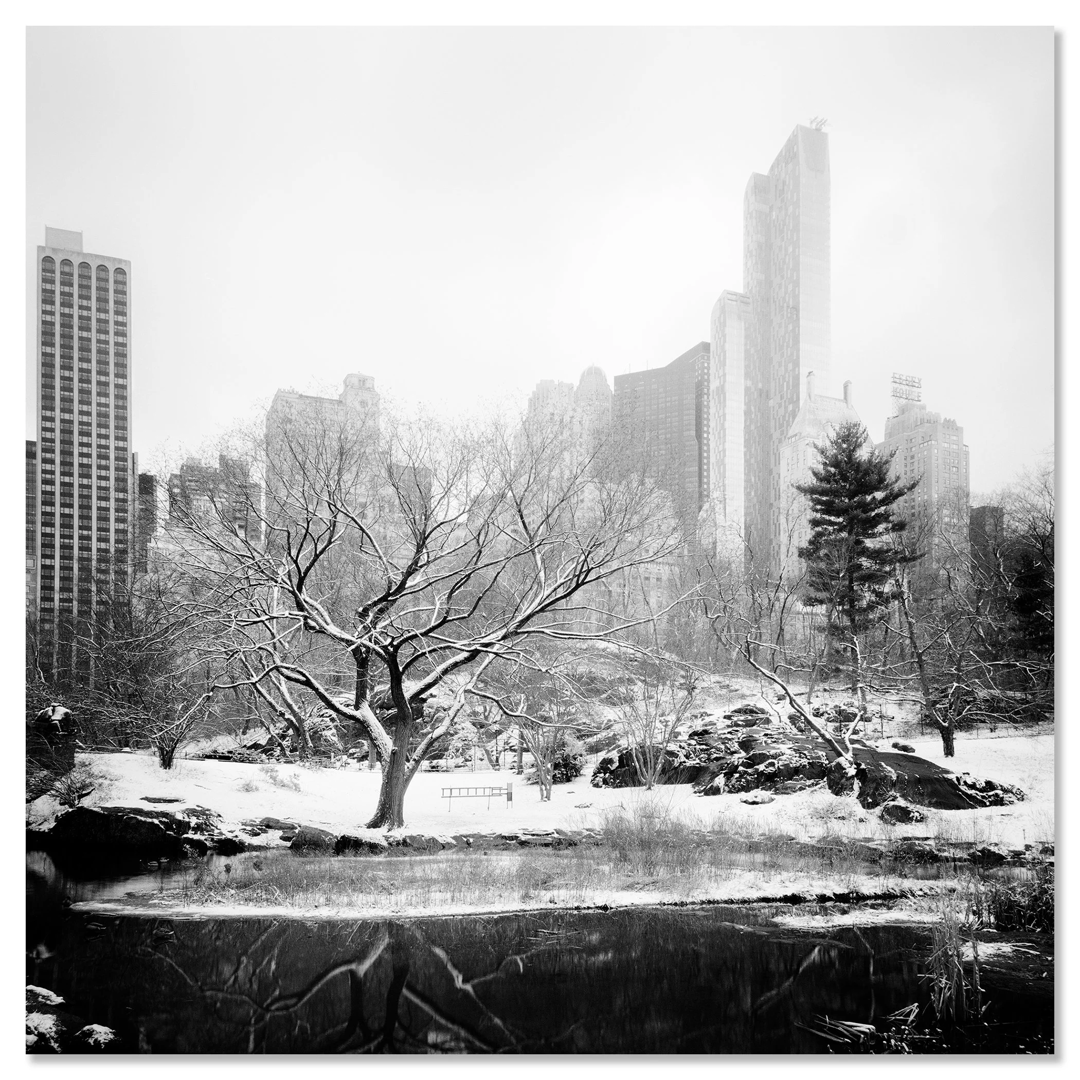 Snow-Covered Central Park Study 7 displayed as a frameless black-and-white artwork mounted on aluminium Dibond by Gerald Berghammer.